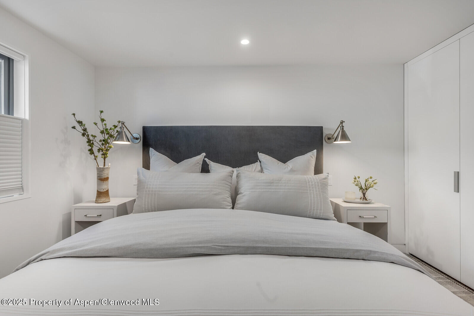 650 S Monarch Street Aspen CO 81611