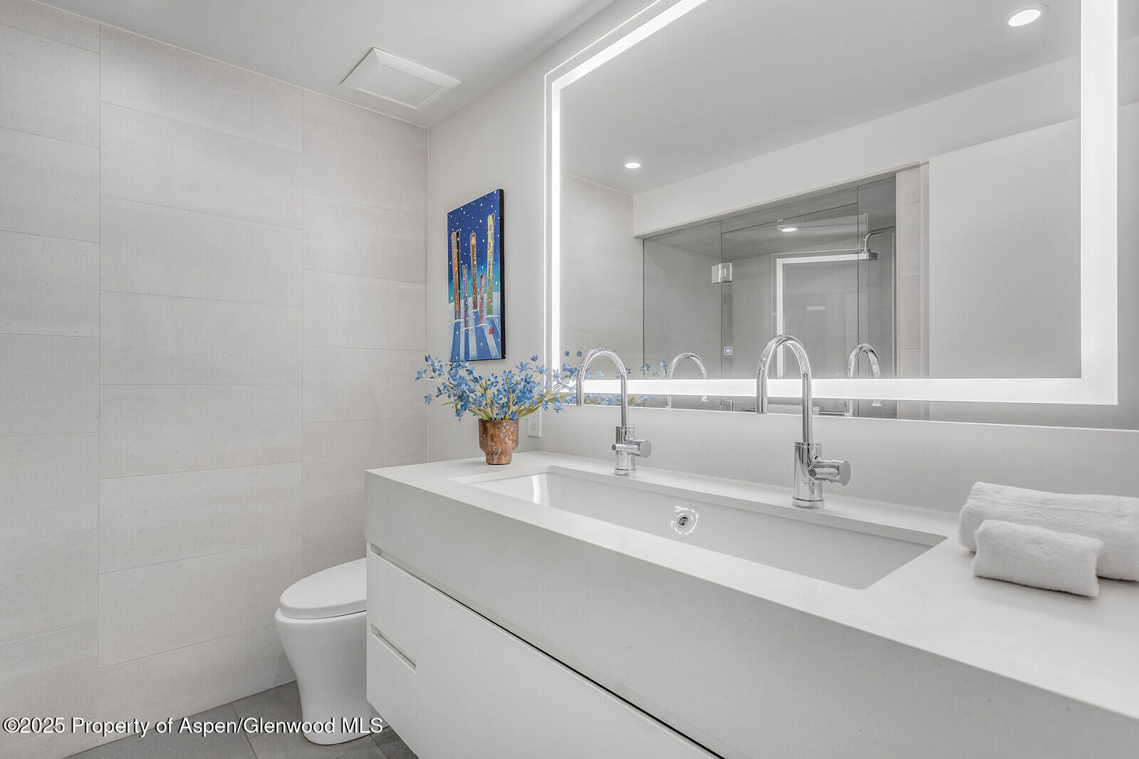 650 S Monarch Street Aspen CO 81611