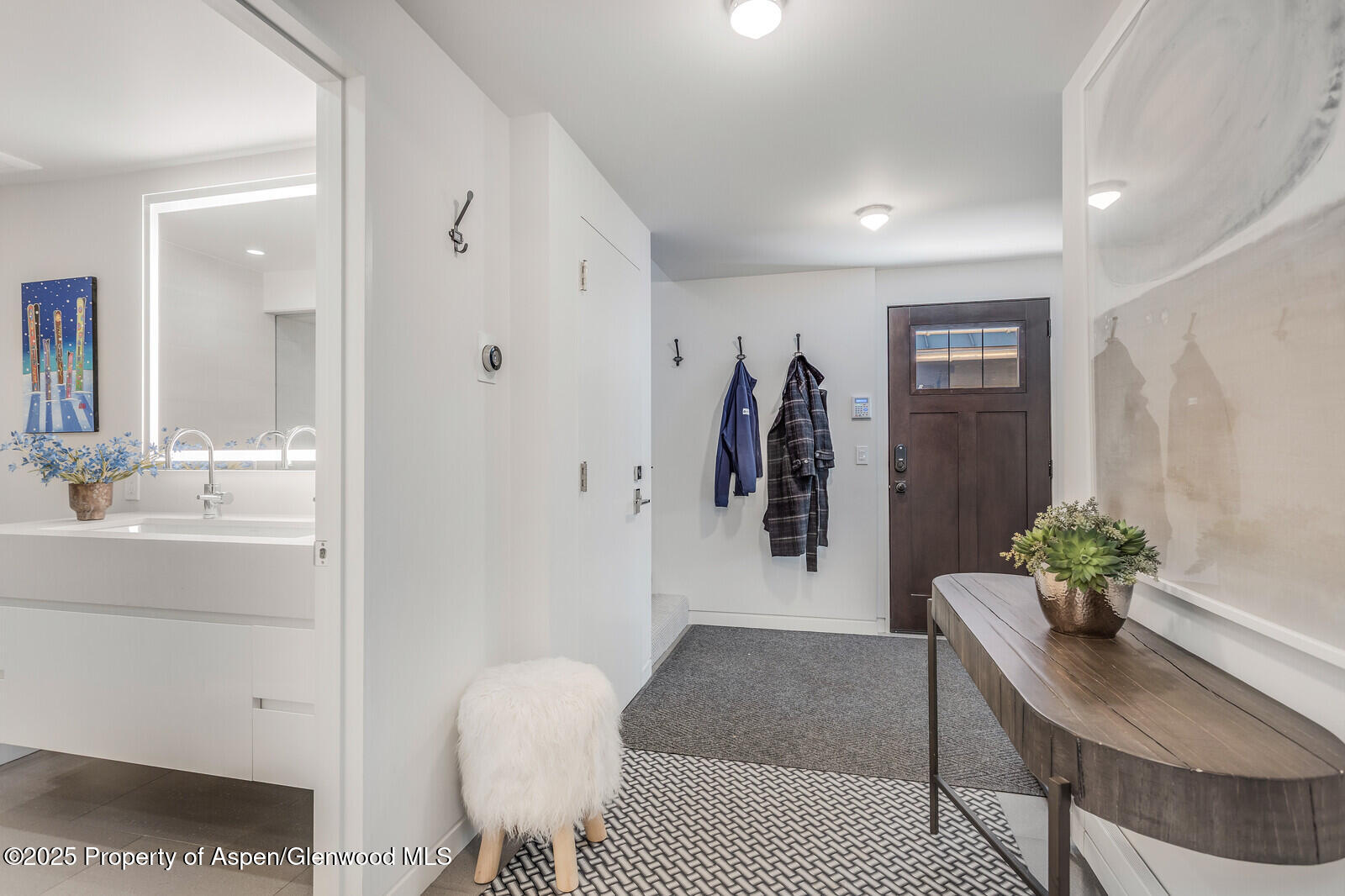 650 S Monarch Street Aspen CO 81611