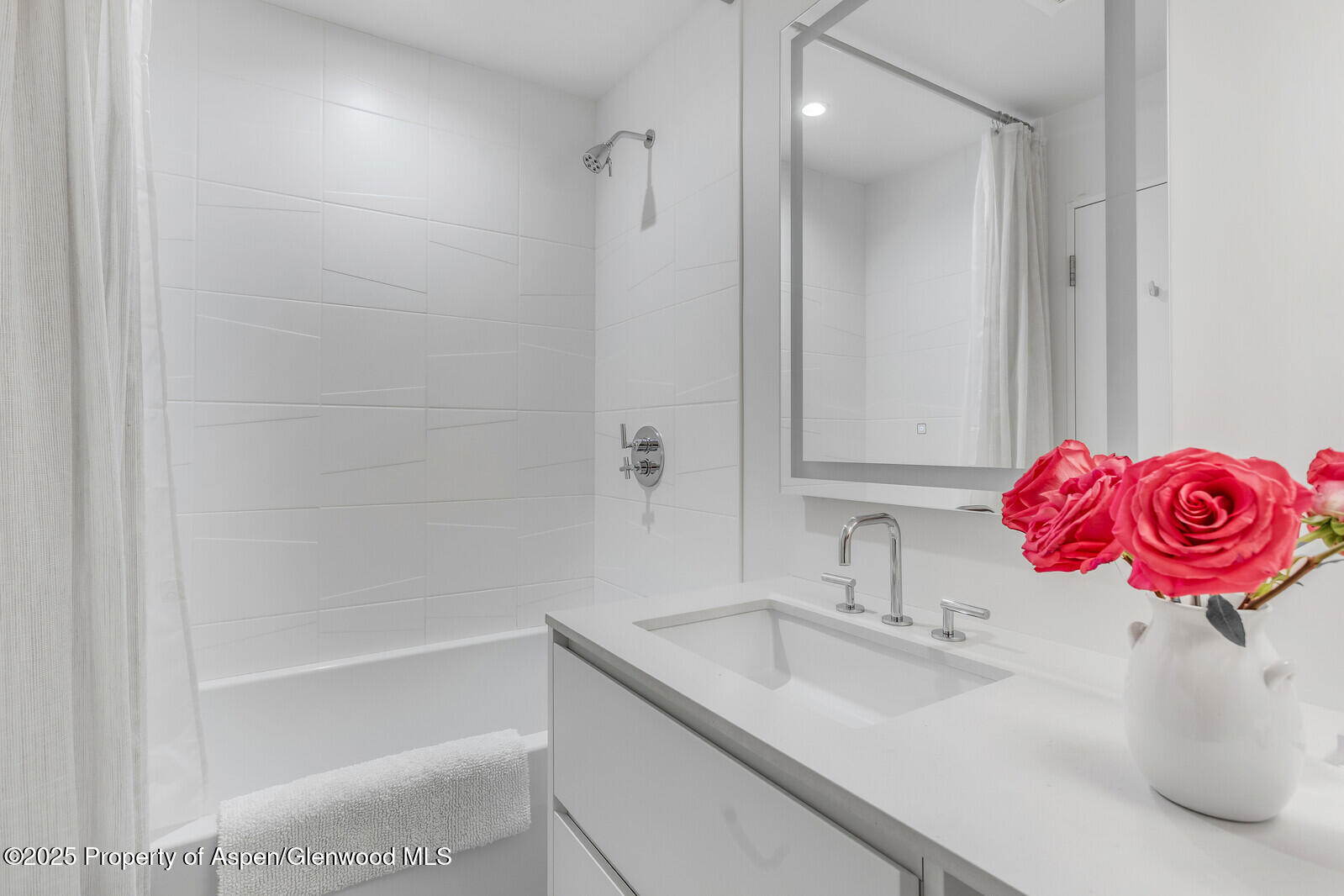 650 S Monarch Street Aspen CO 81611