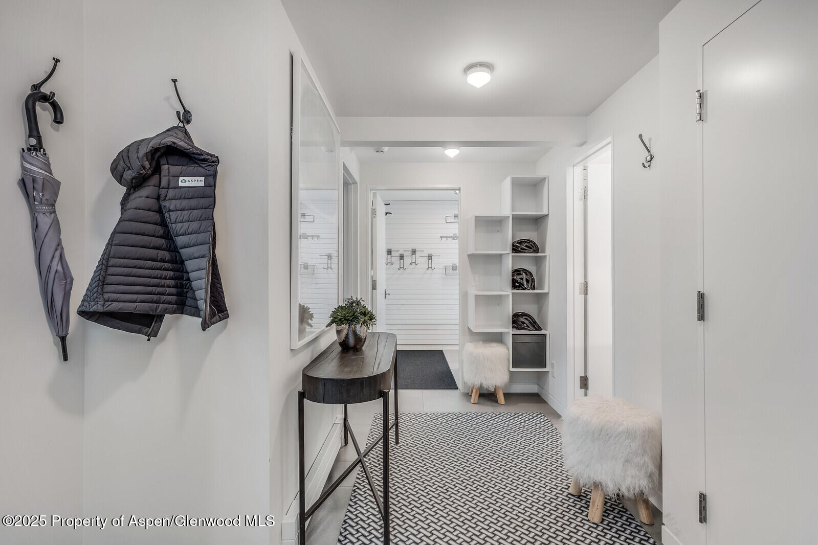 650 S Monarch Street Aspen CO 81611