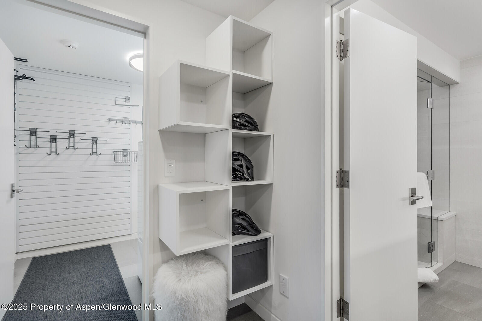 650 S Monarch Street Aspen CO 81611