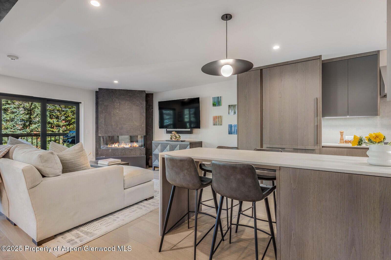 650 S Monarch Street Aspen CO 81611