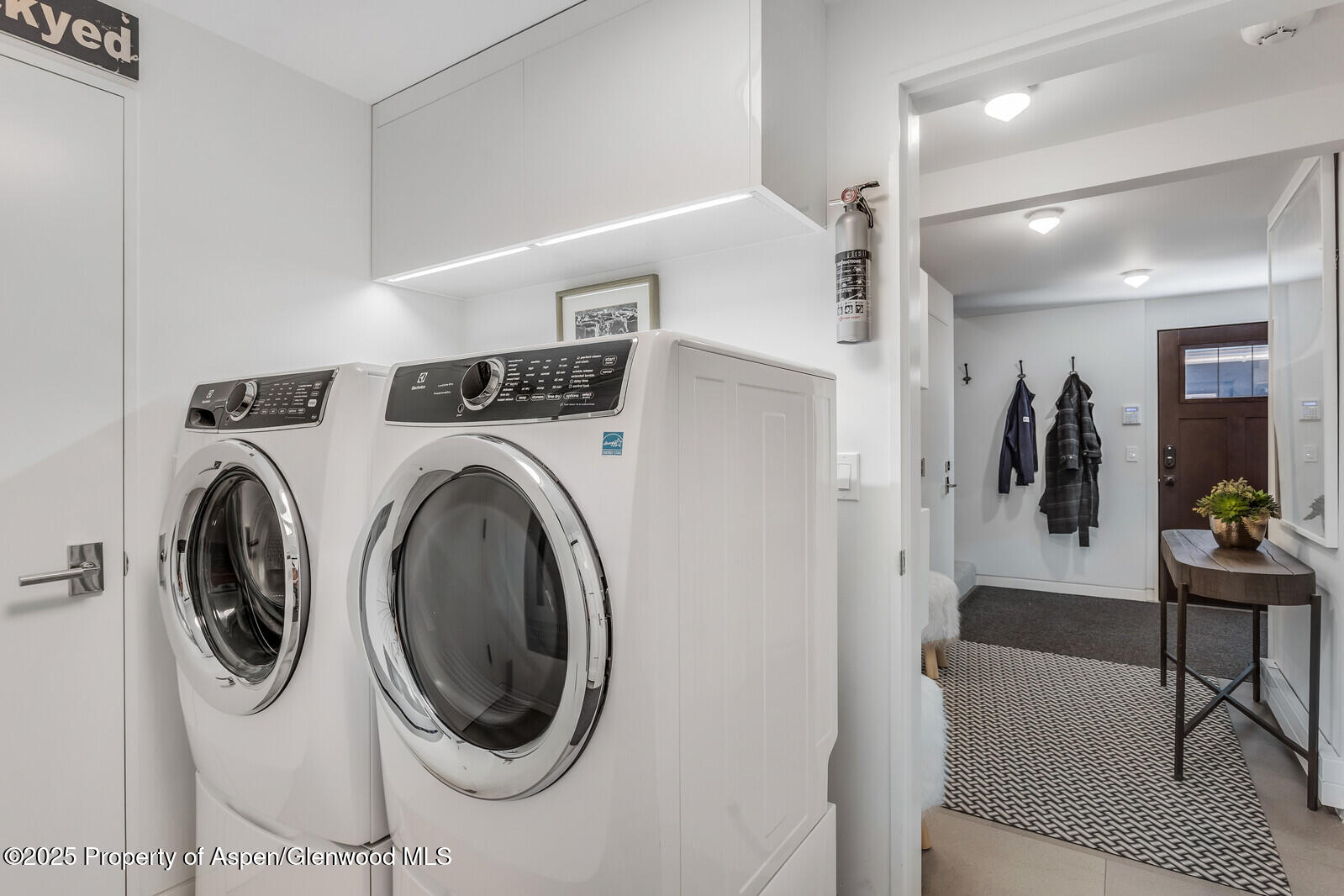 650 S Monarch Street Aspen CO 81611