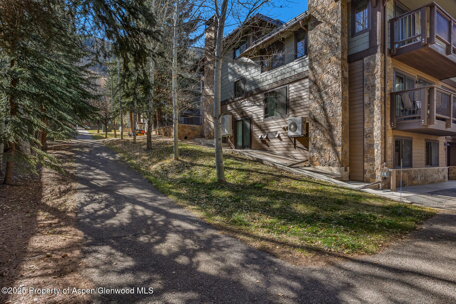 650 S Monarch Street Aspen CO 81611