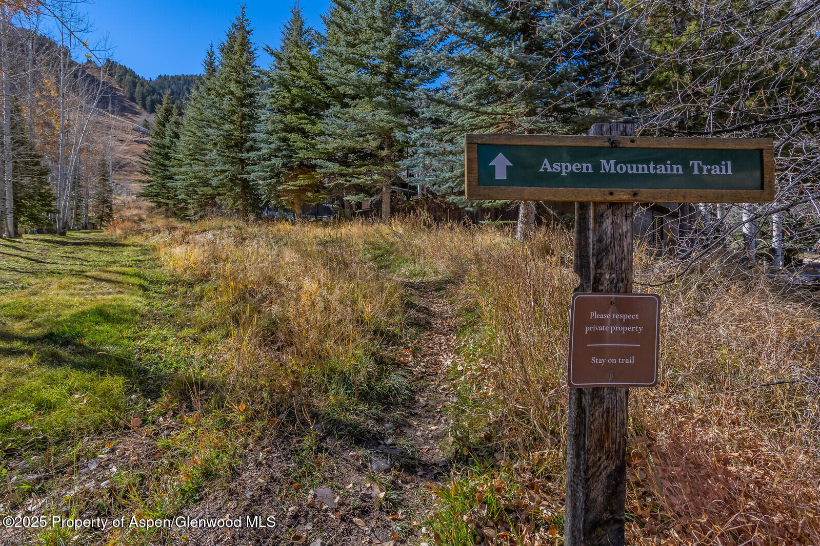 650 S Monarch Street Aspen CO 81611