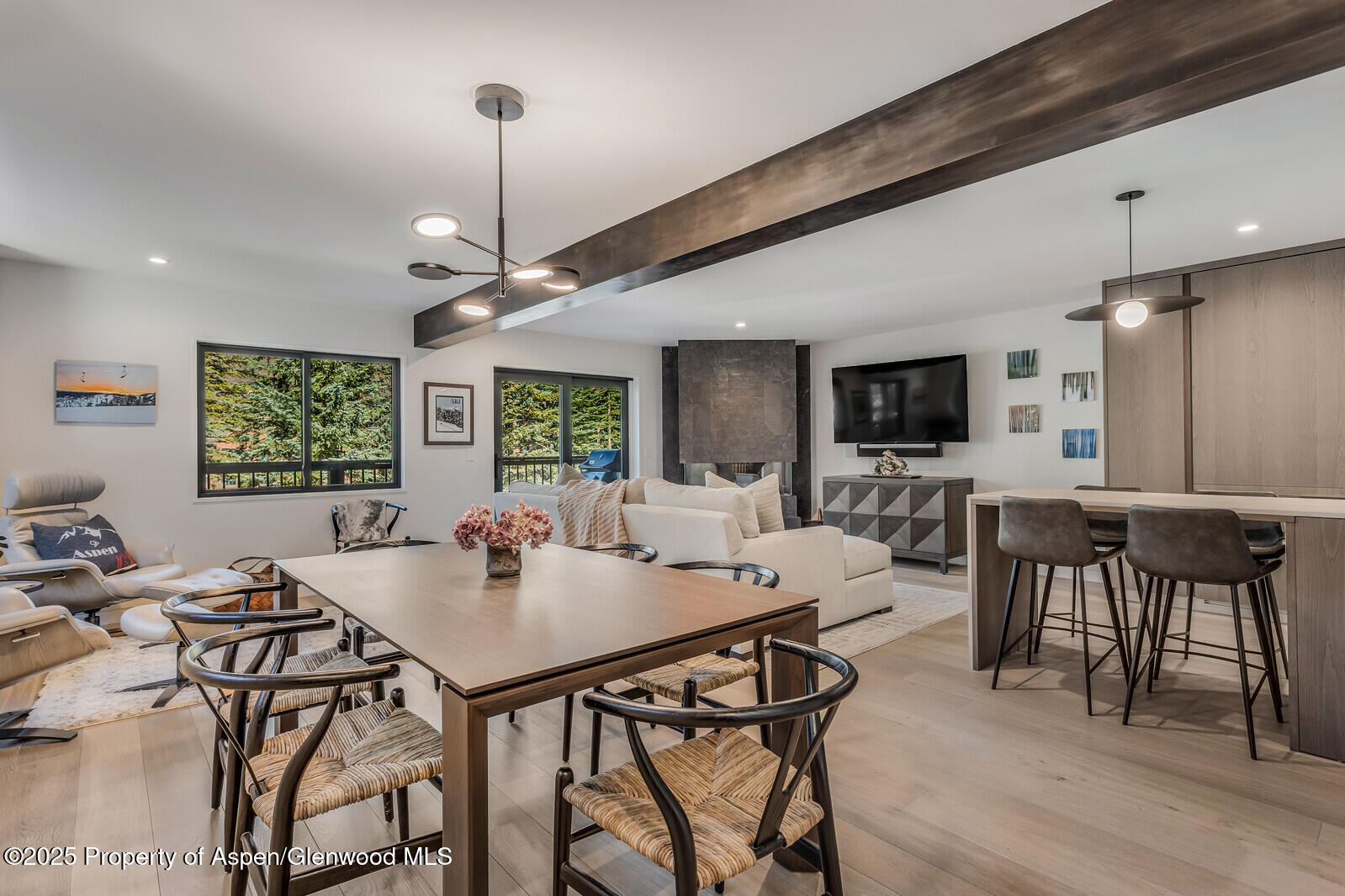 650 S Monarch Street Aspen CO 81611