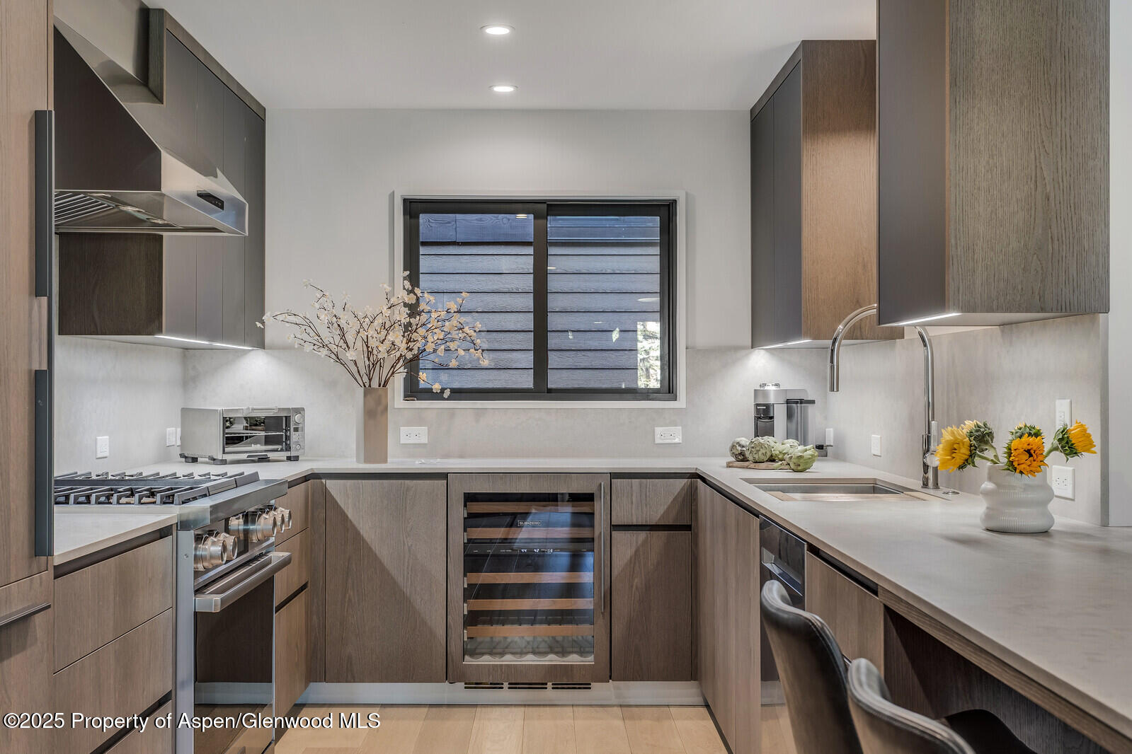 650 S Monarch Street Aspen CO 81611