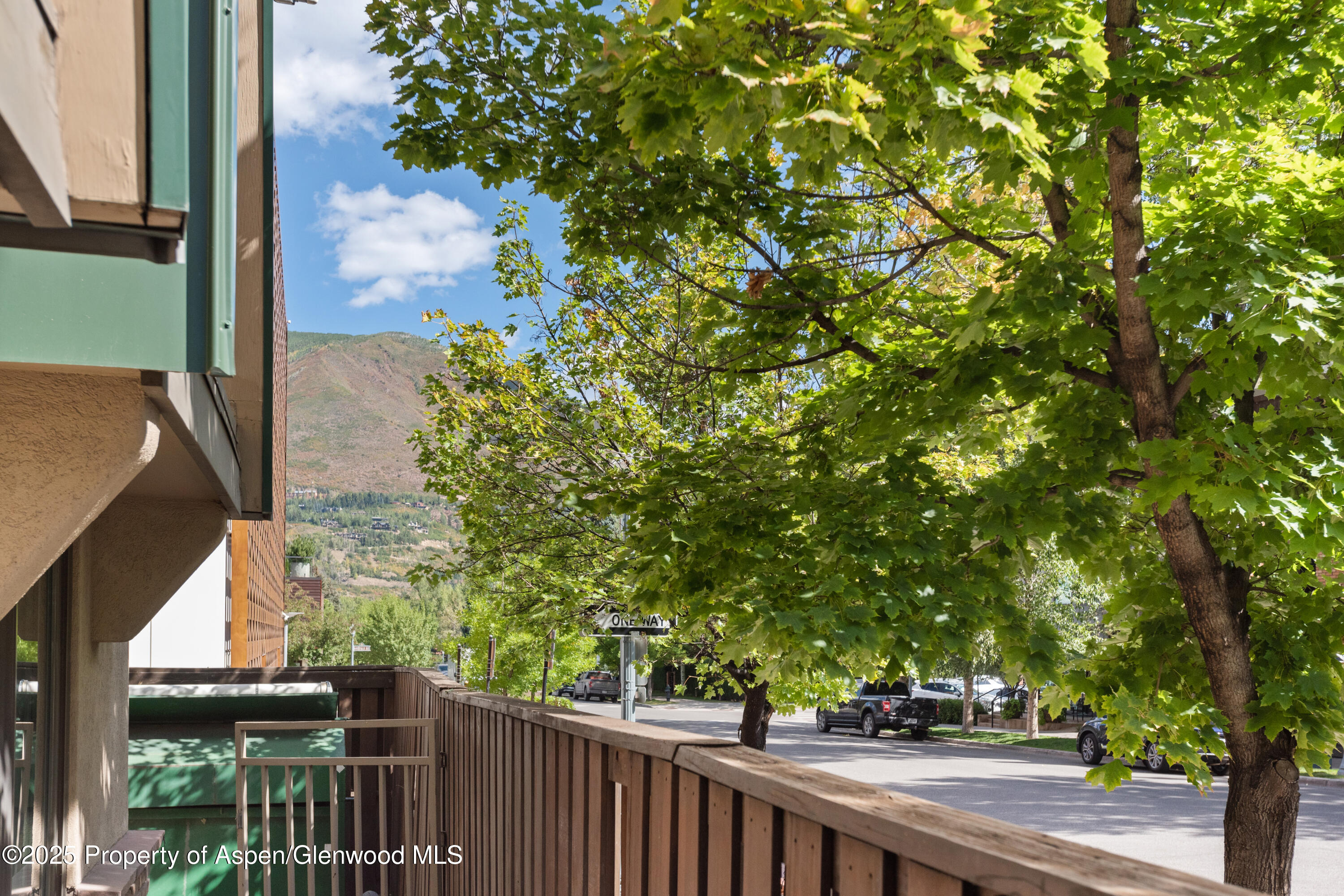 630 E Cooper Avenue Aspen CO 81611