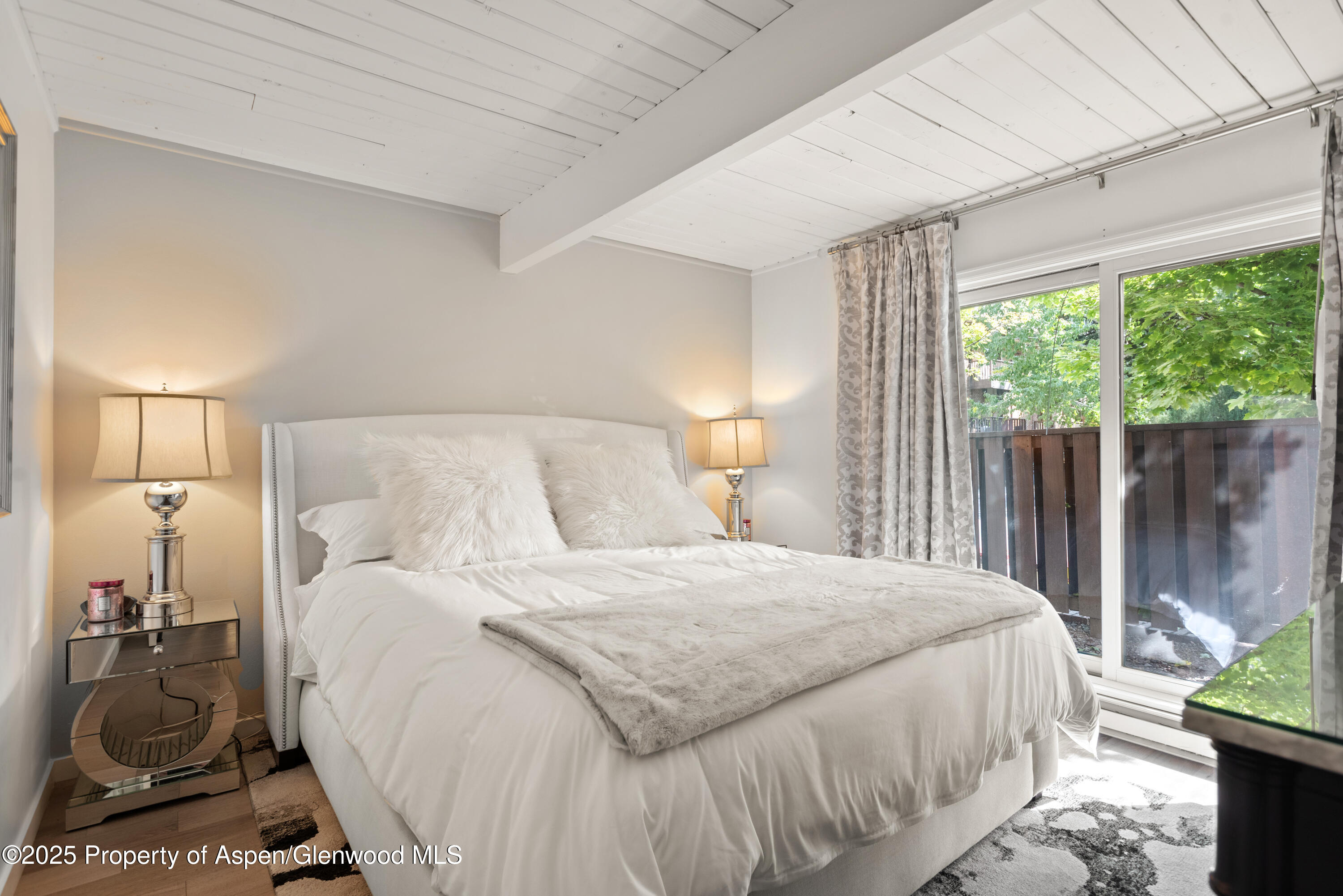 630 E Cooper Avenue Aspen CO 81611