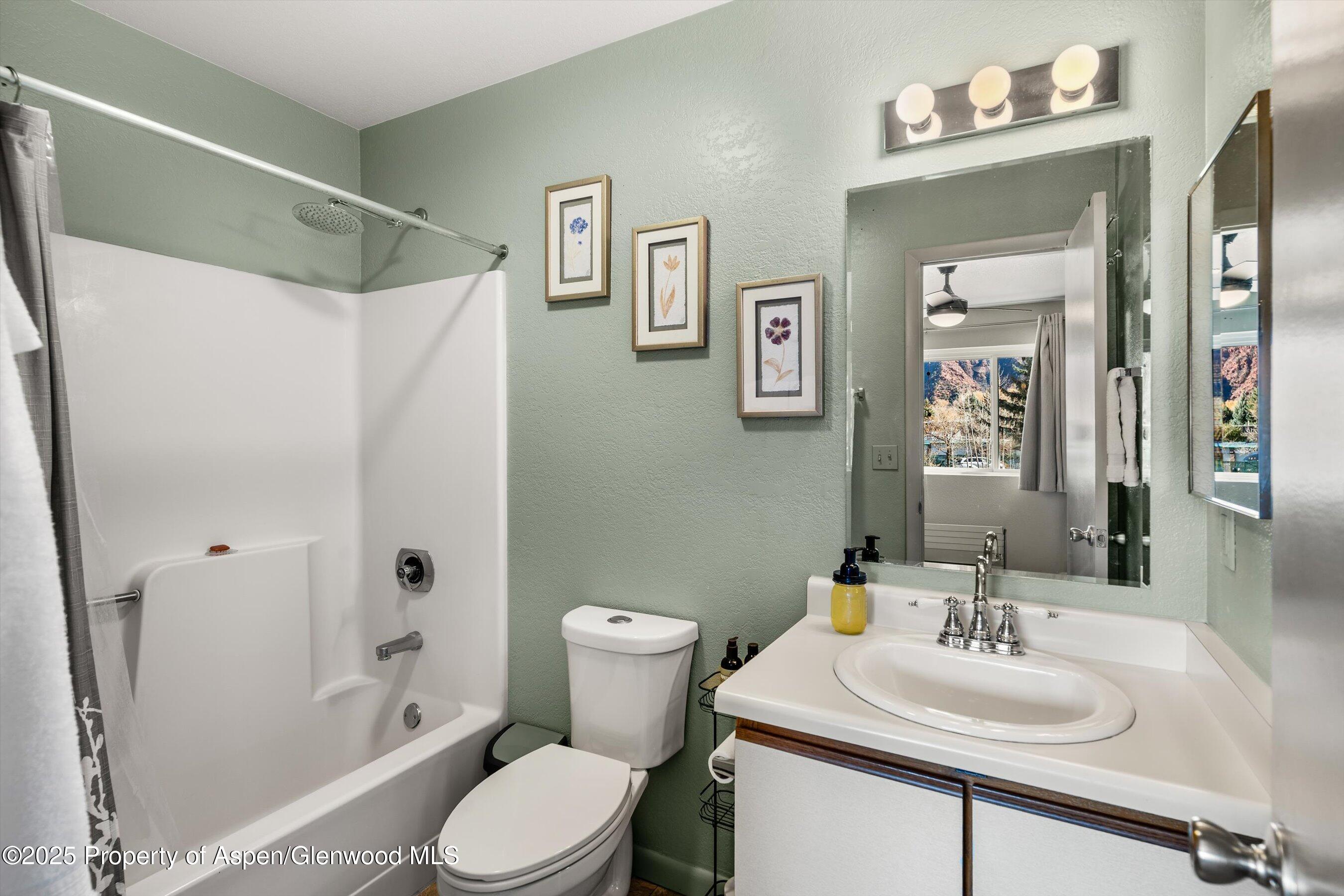 323 Park Avenue Basalt CO 81621