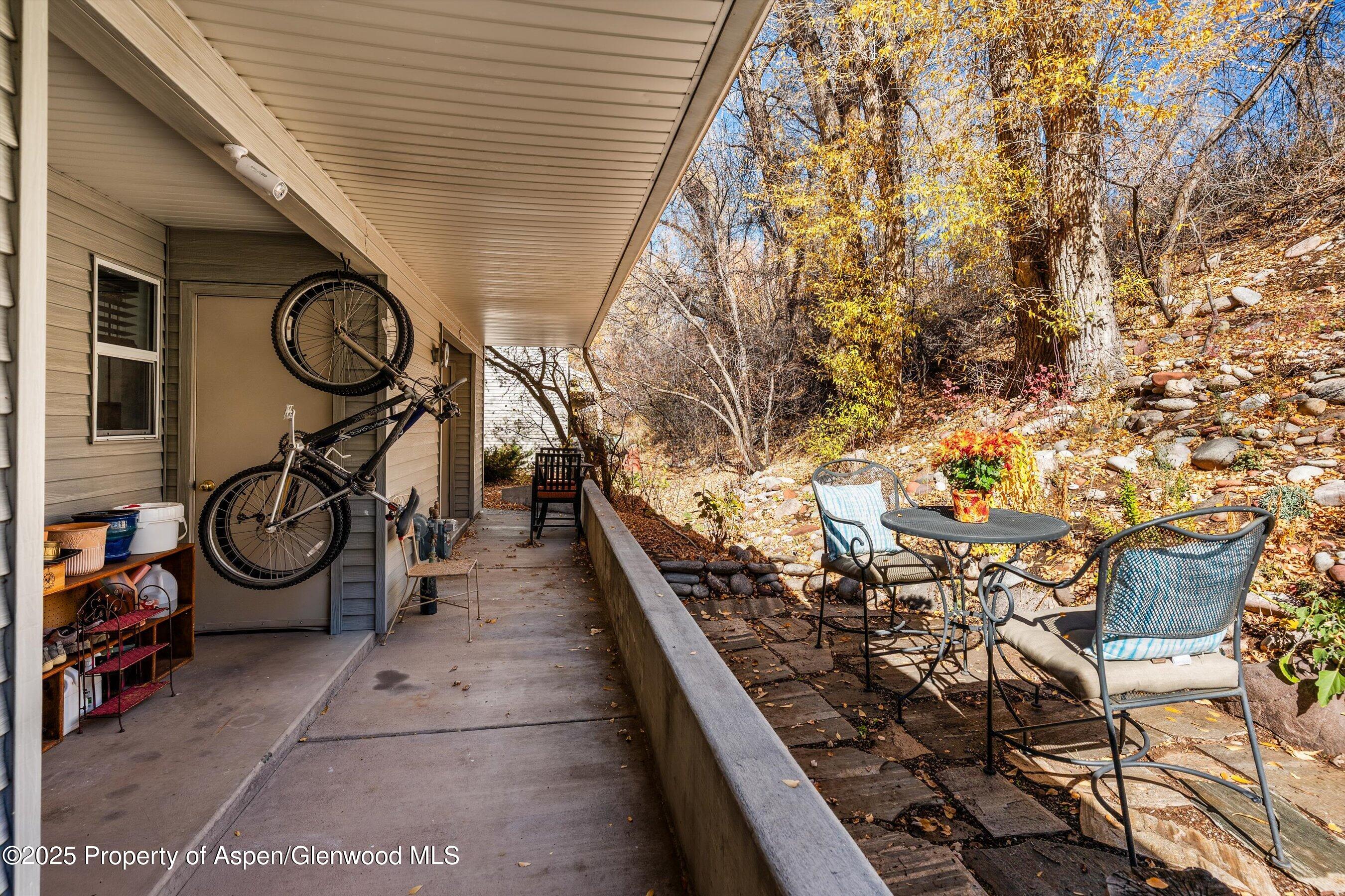 323 Park Avenue Basalt CO 81621