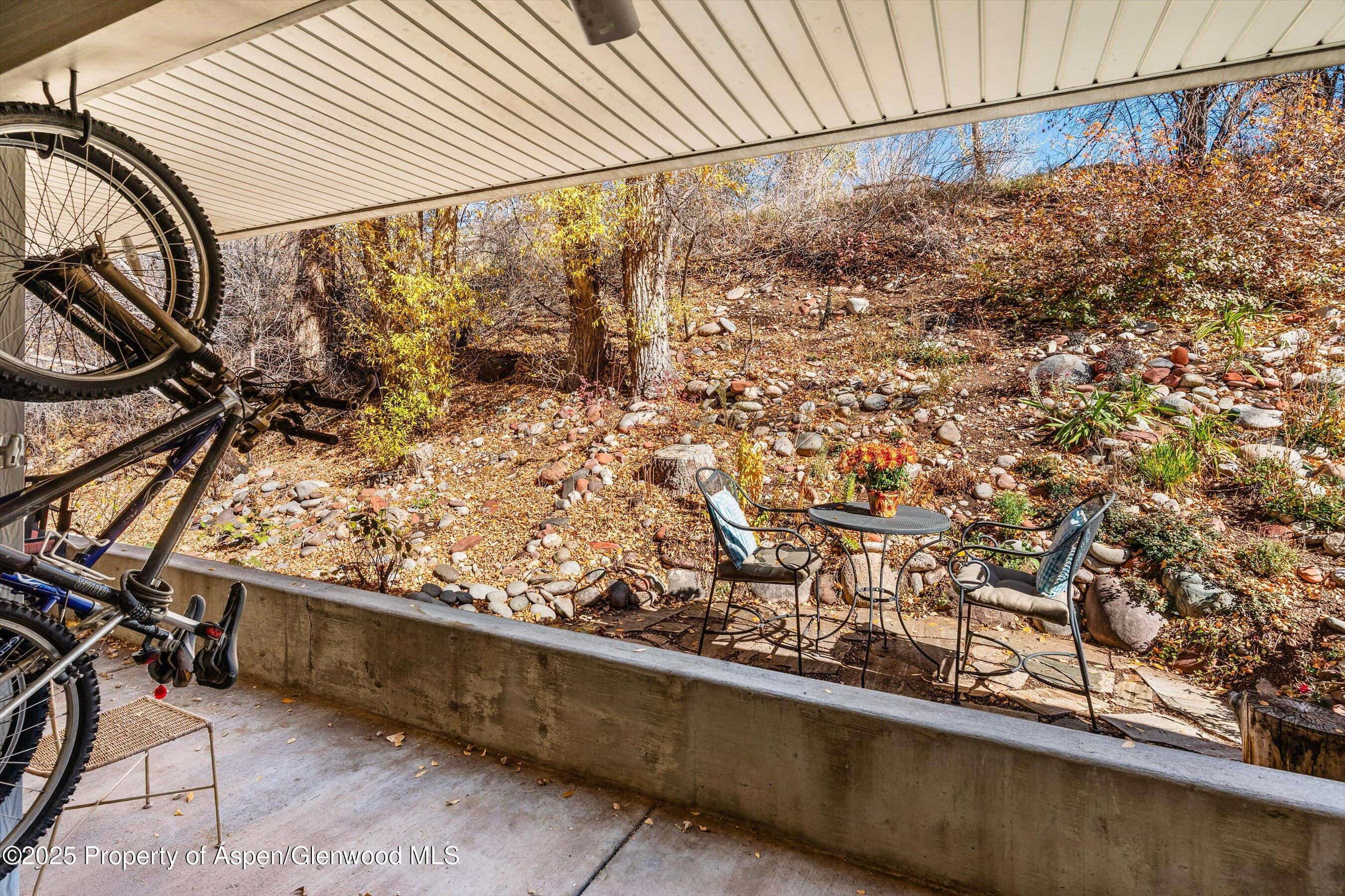 323 Park Avenue Basalt CO 81621