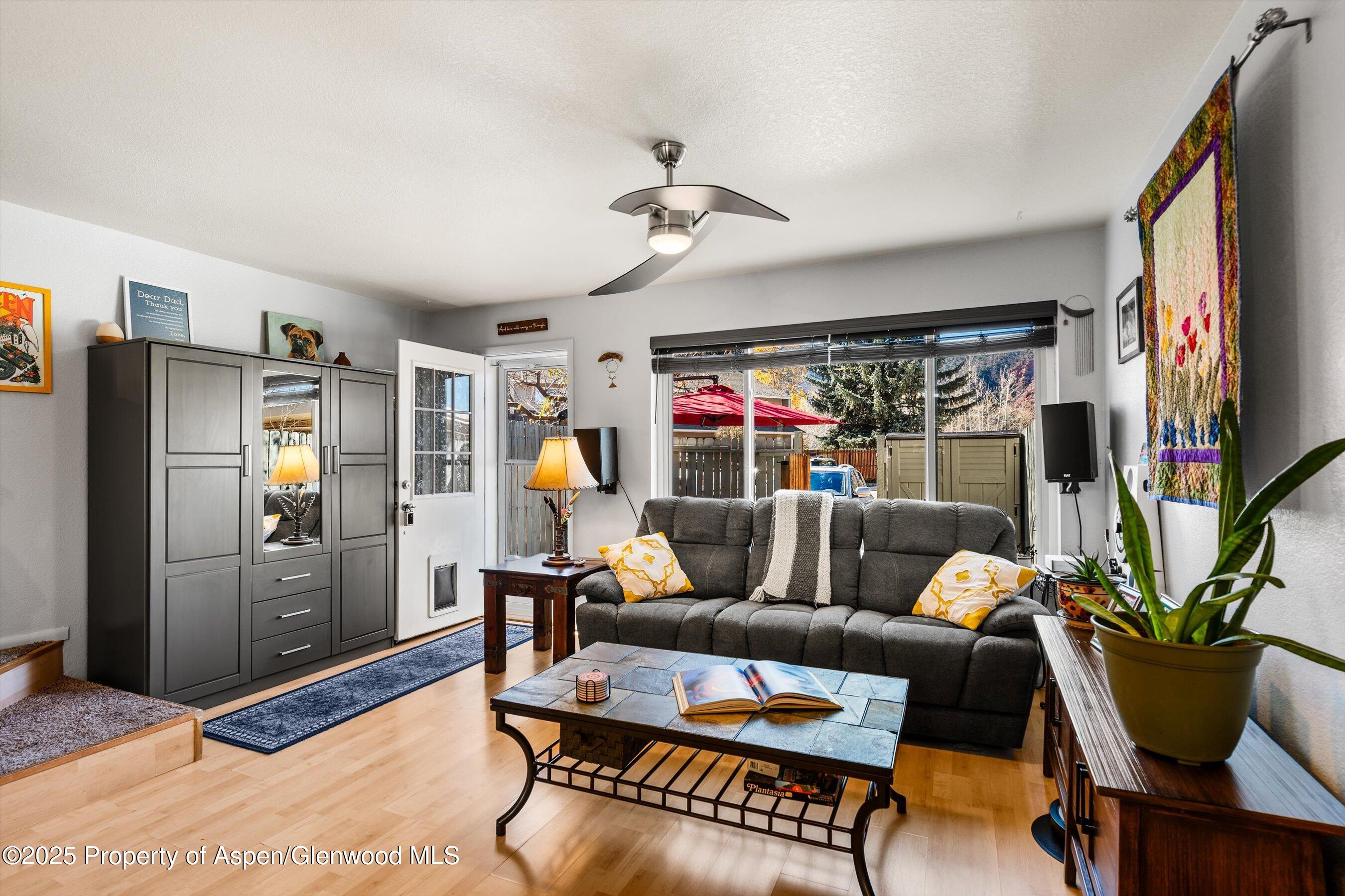 323 Park Avenue Basalt CO 81621