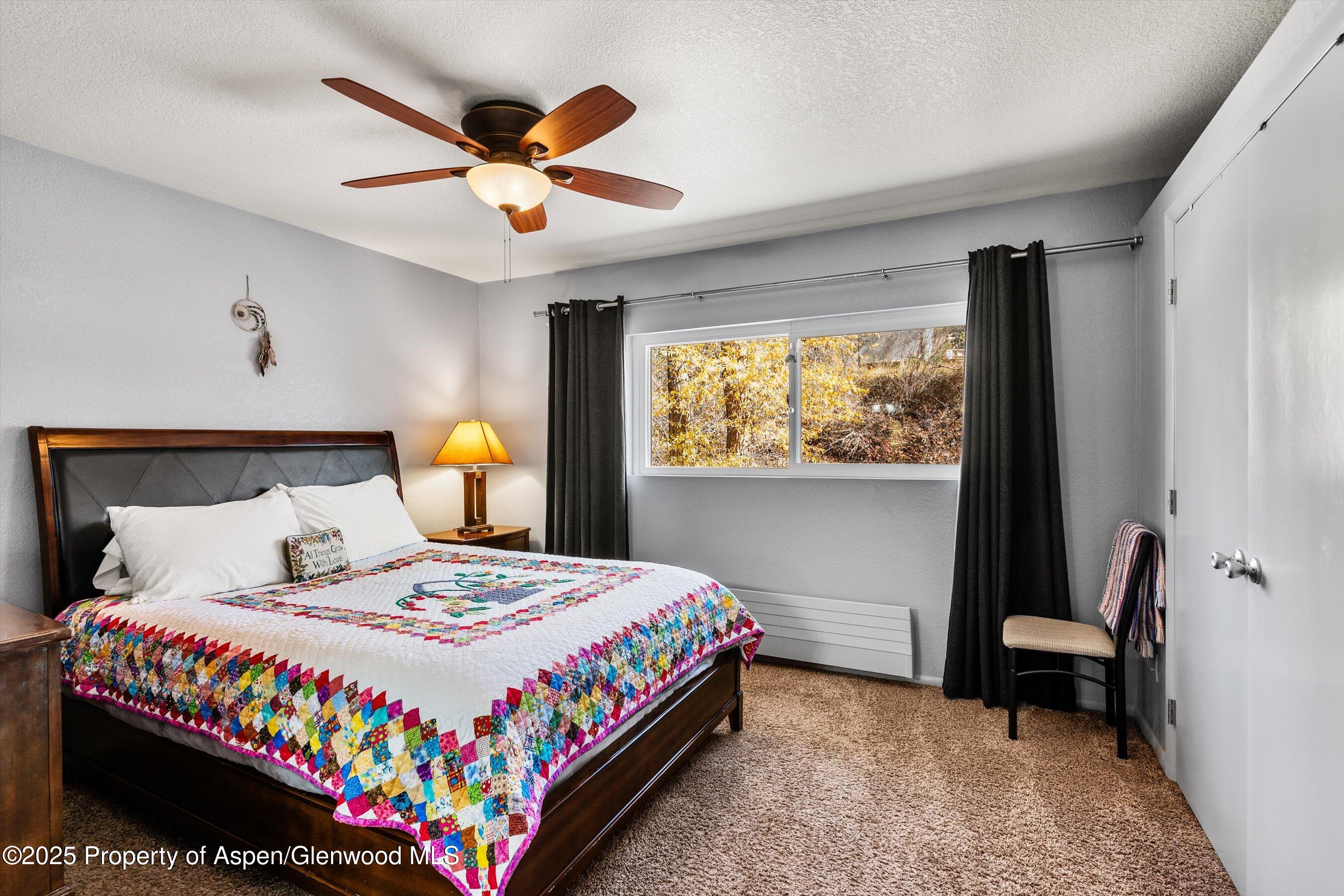 323 Park Avenue Basalt CO 81621