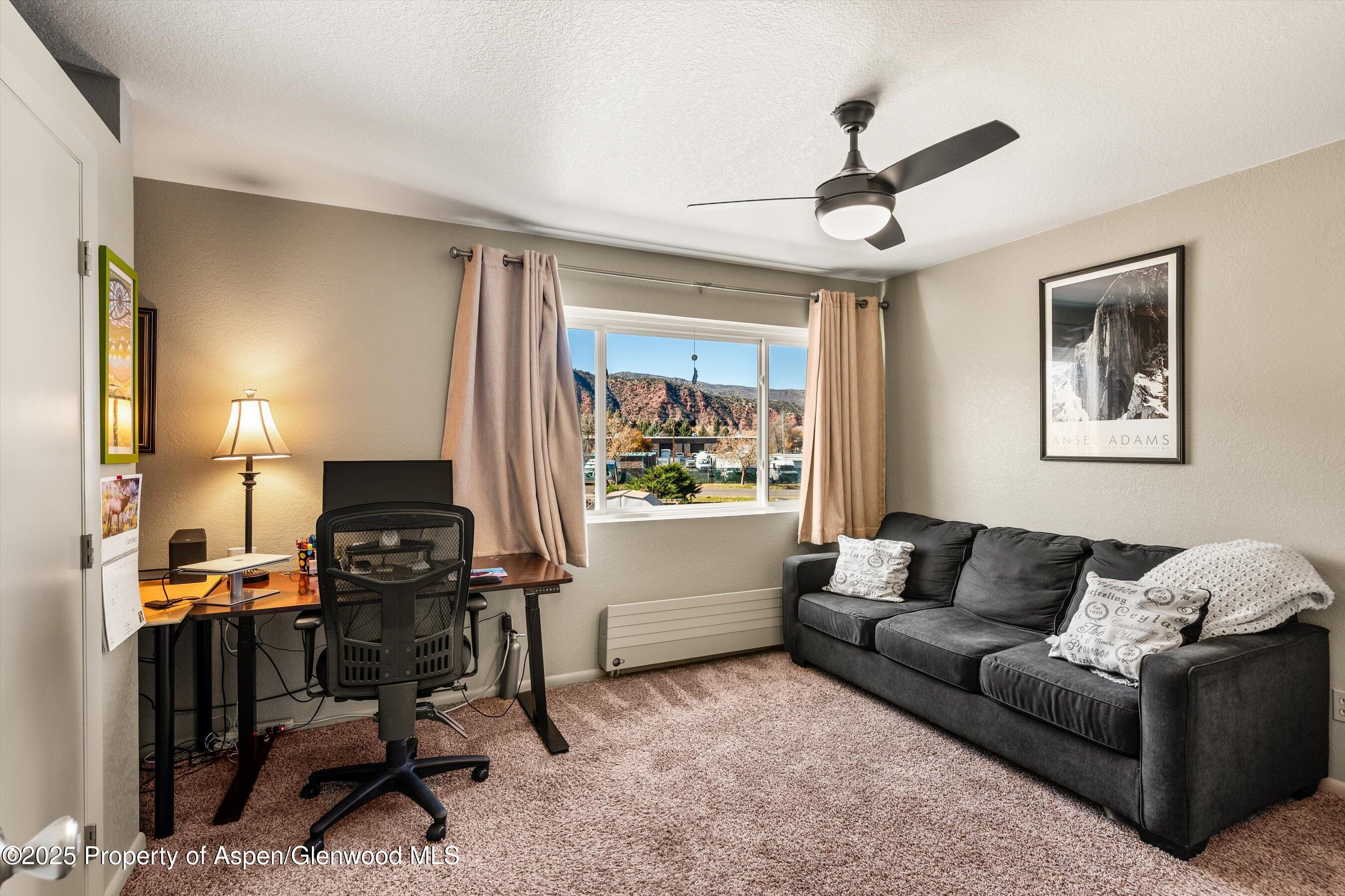 323 Park Avenue Basalt CO 81621