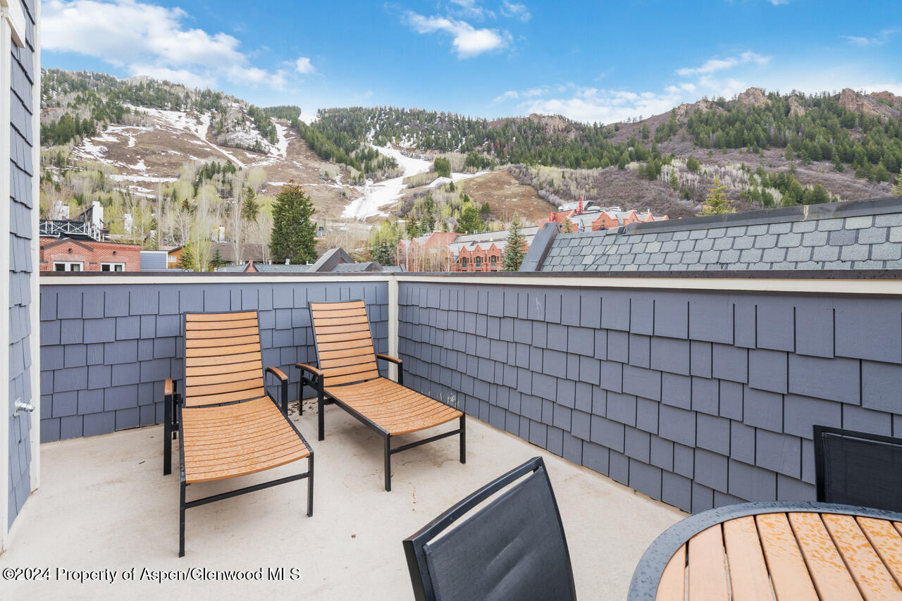 415 E Dean St, Unit 45, Week 35 Aspen CO 81611