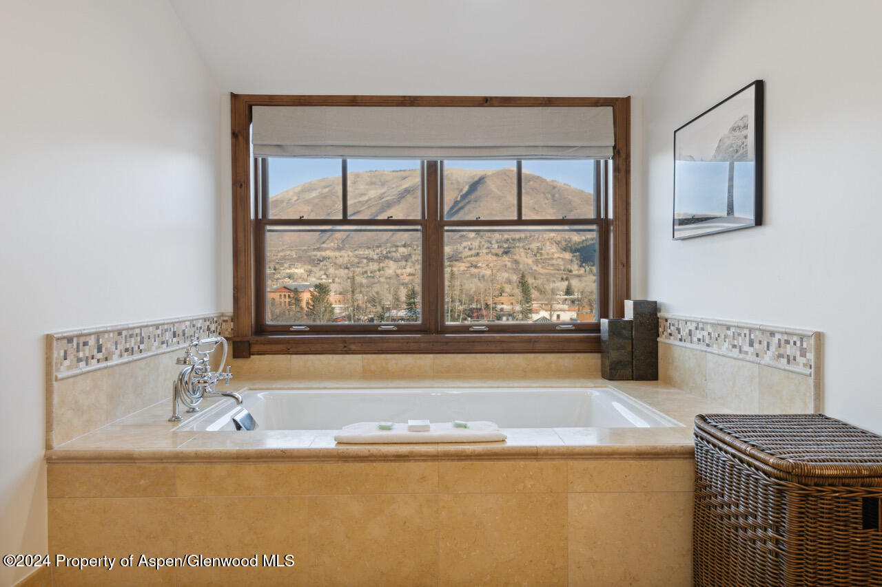 415 E Dean St, Unit 45, Week 35 Aspen CO 81611