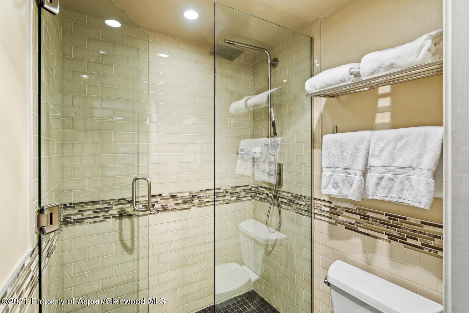 617 E Cooper Avenue Aspen CO 81611