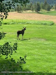39060 Highway 82 Aspen CO 81611