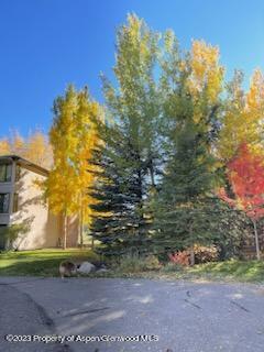 39060 Highway 82 Aspen CO 81611