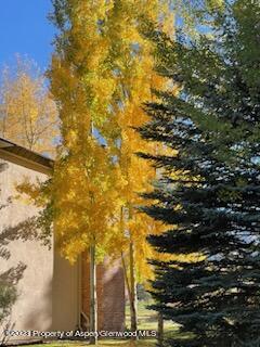39060 Highway 82 Aspen CO 81611