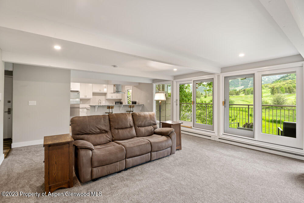 39060 Highway 82 Aspen CO 81611