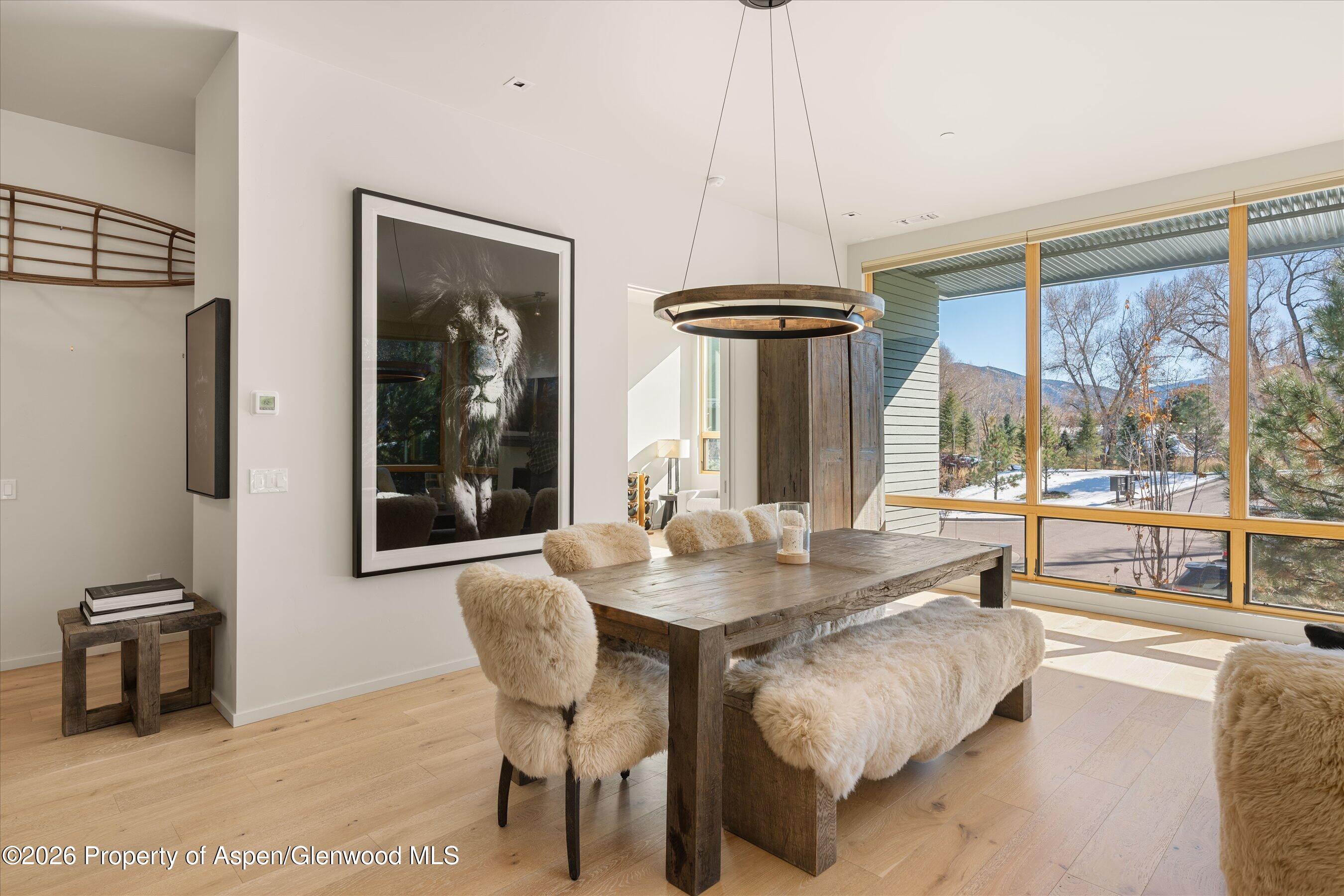101 Willits Way Basalt CO 81621