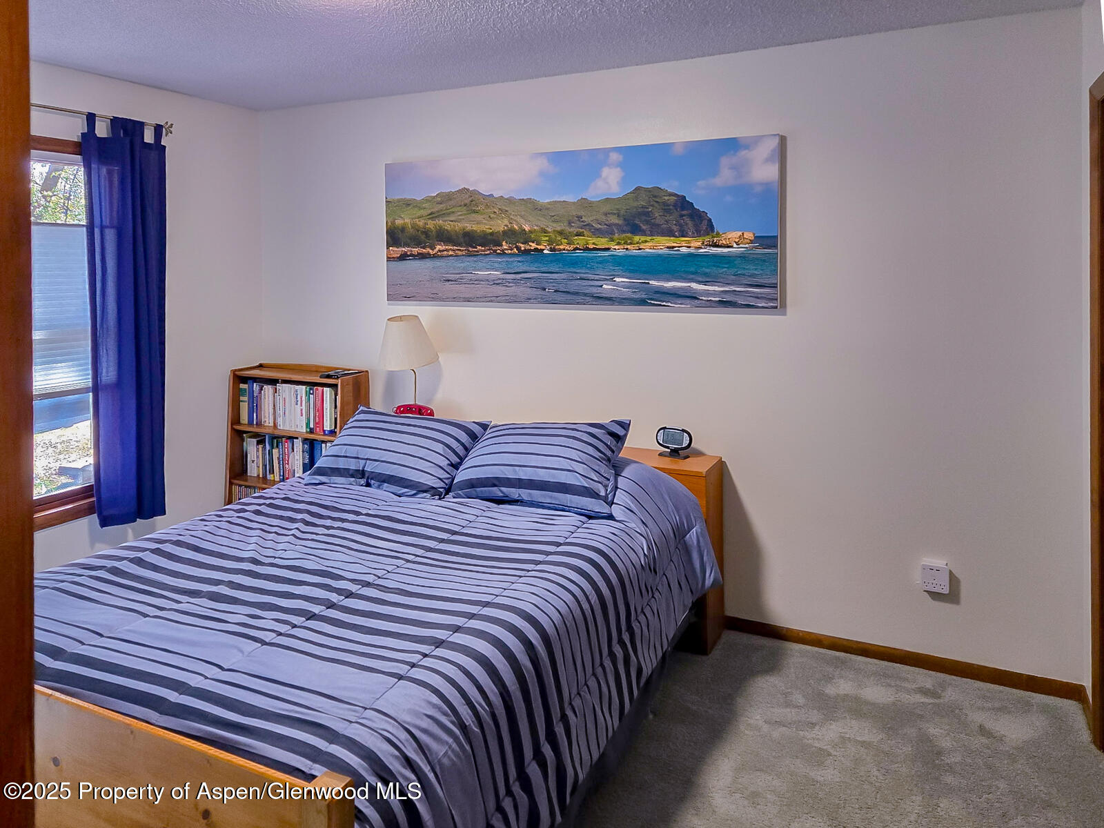 1035 Wheel Circle Carbondale CO 81623