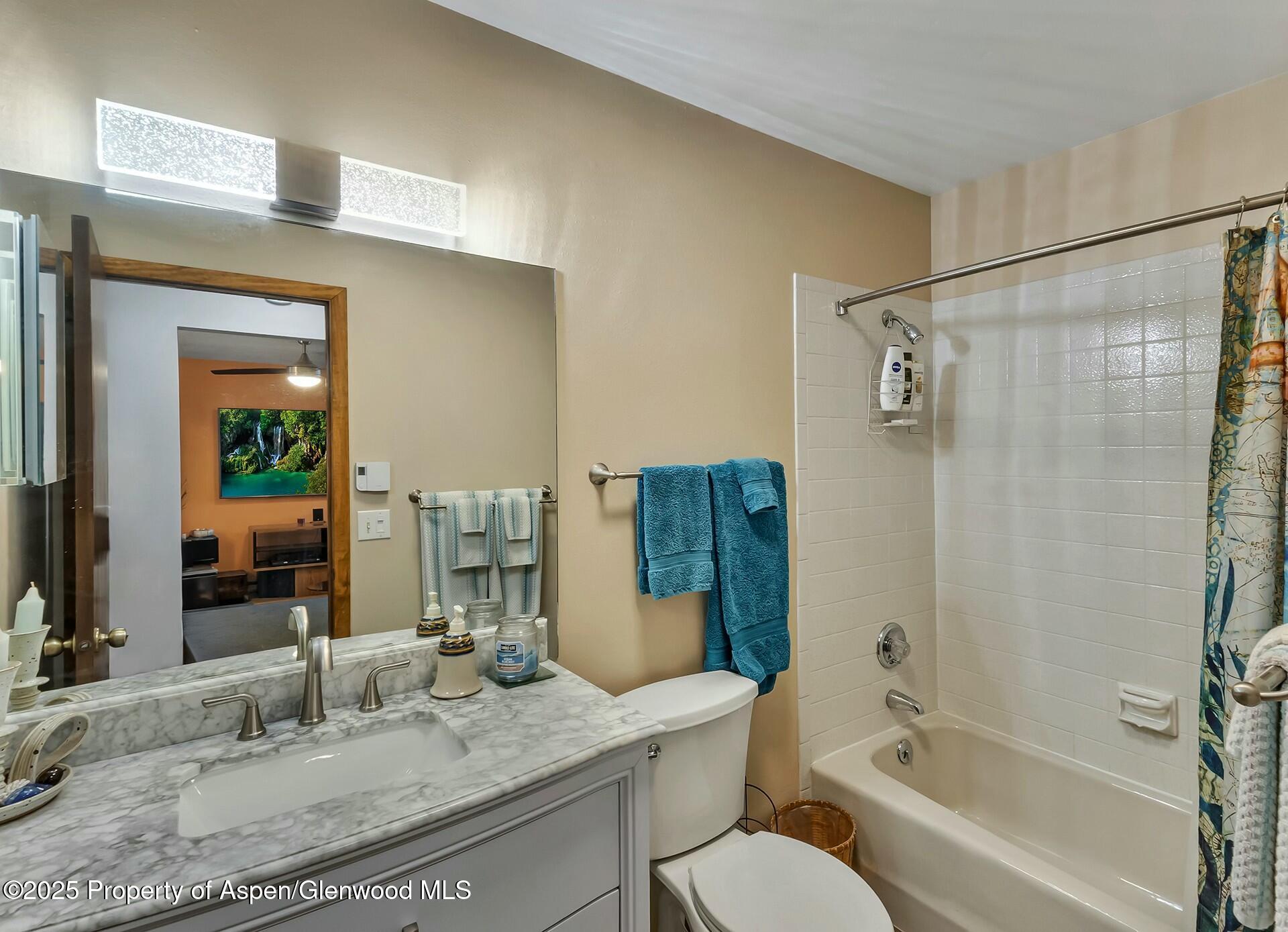 1035 Wheel Circle Carbondale CO 81623