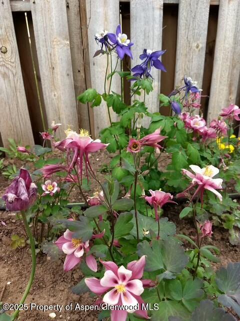 1035 Wheel Circle Carbondale CO 81623