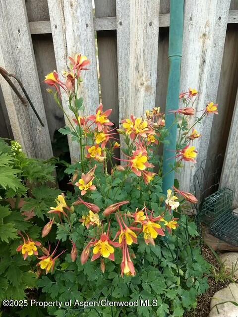 1035 Wheel Circle Carbondale CO 81623