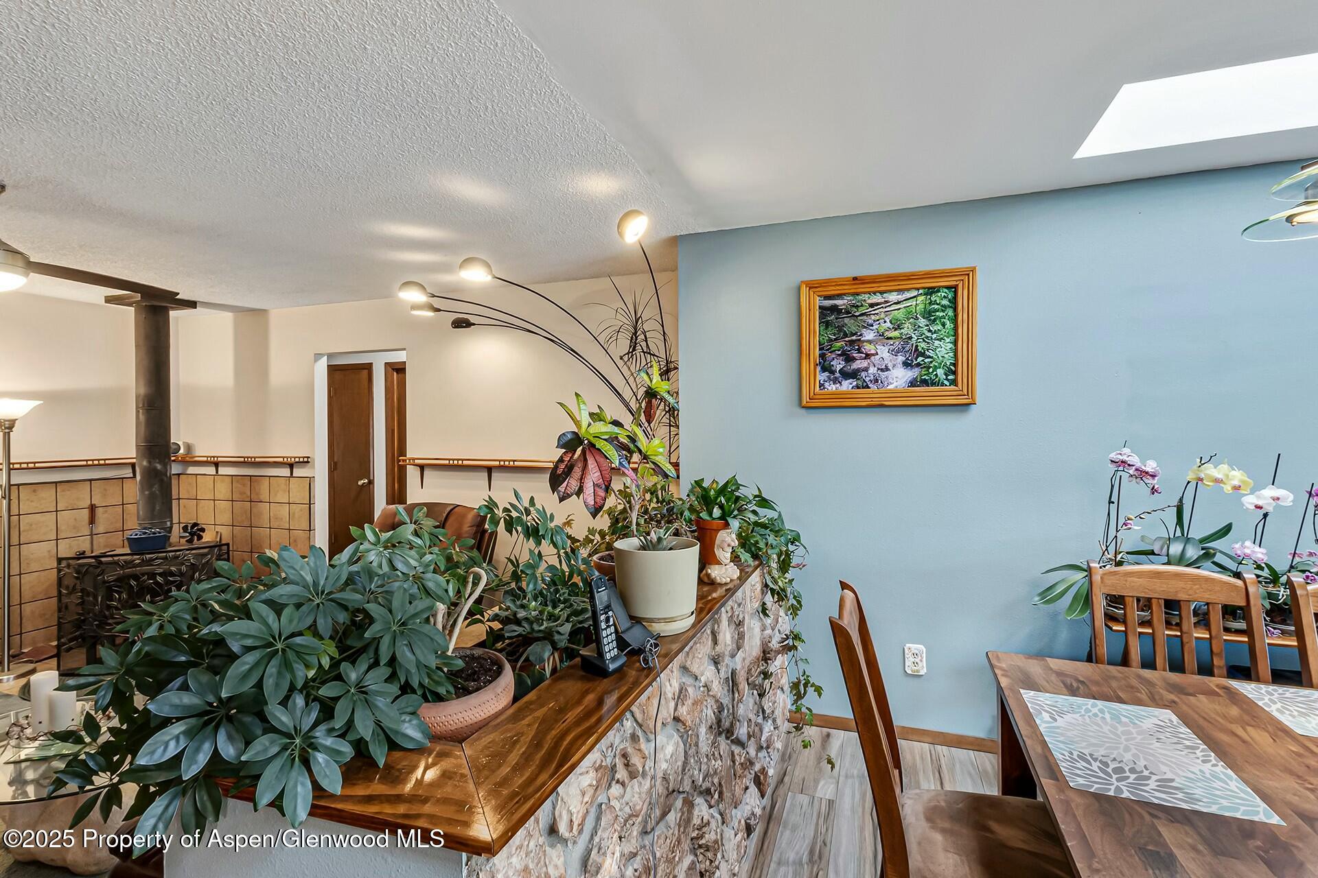 1035 Wheel Circle Carbondale CO 81623