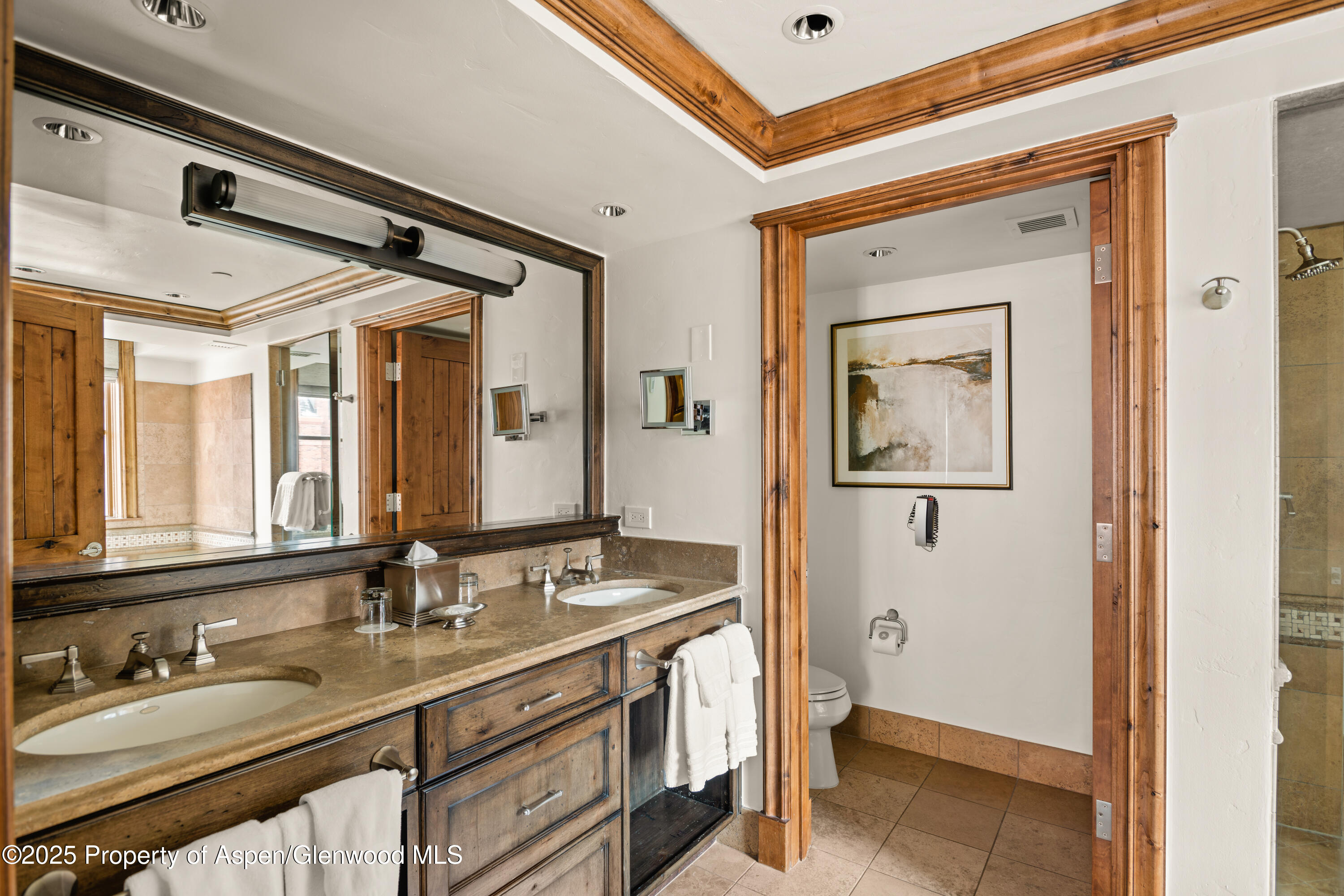 315 E Dean Street Aspen CO 81611