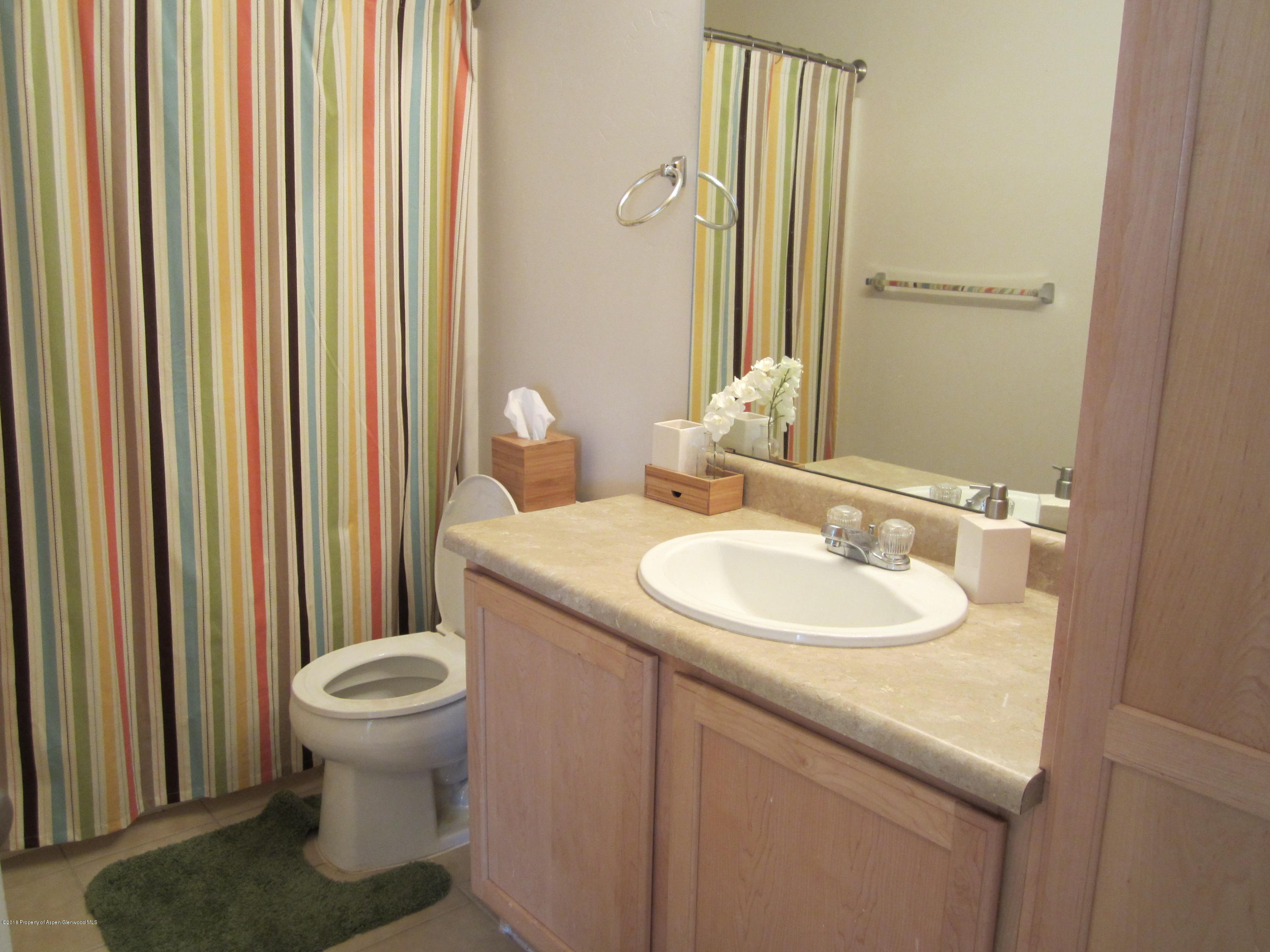 1407 Darrow Alley Glenwood Springs CO 81601