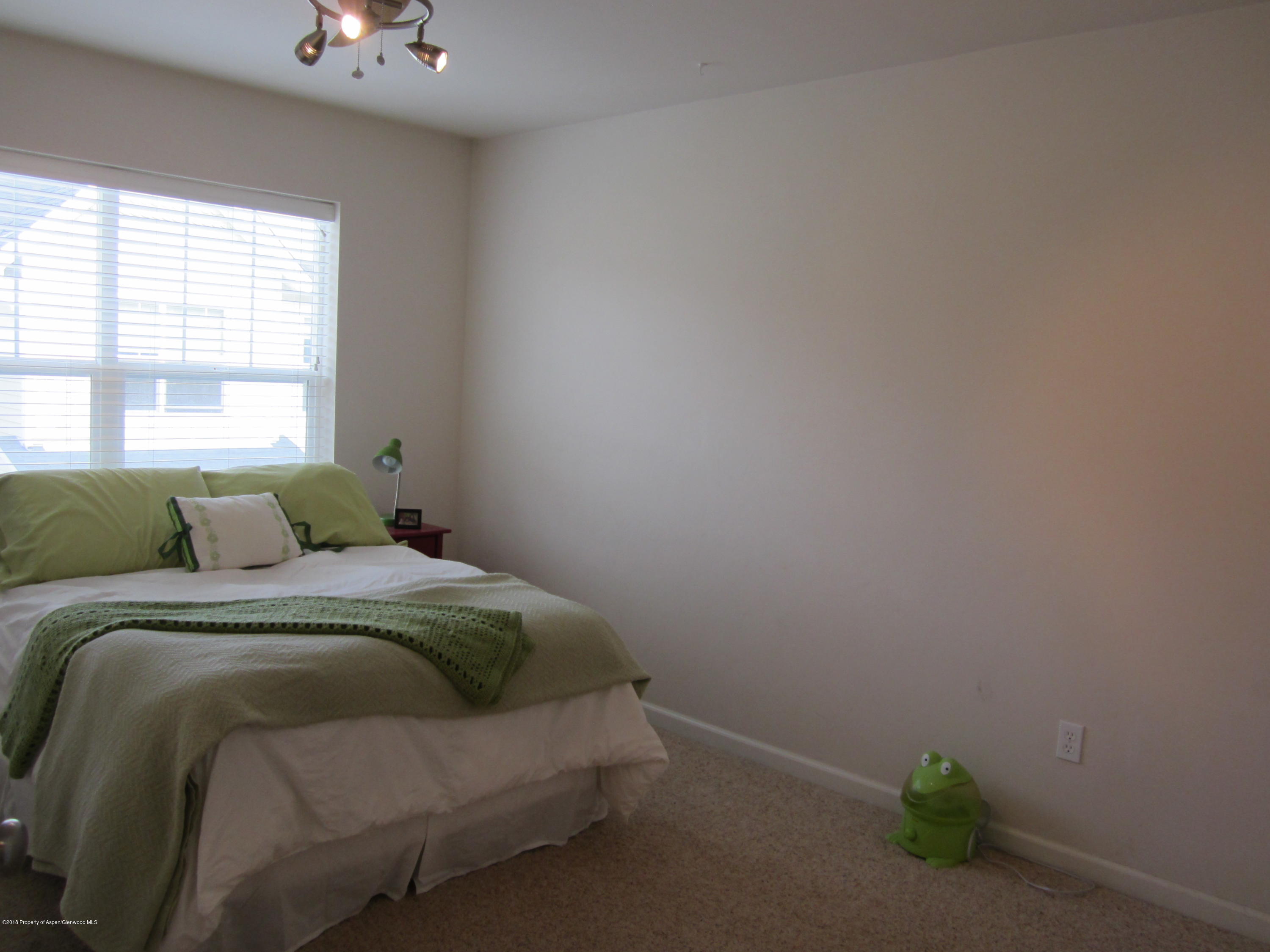 1407 Darrow Alley Glenwood Springs CO 81601