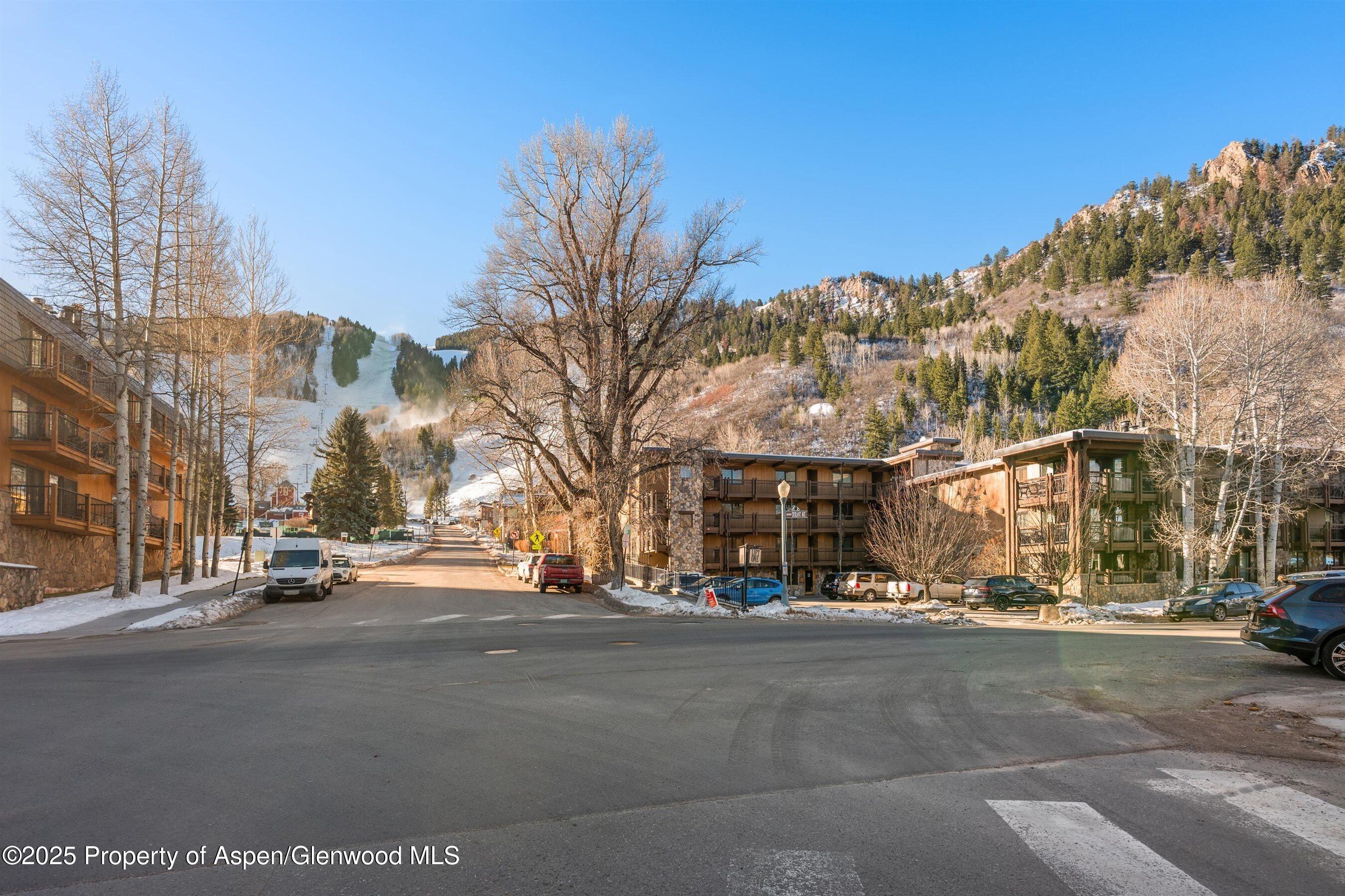 131 E Durant Avenue Aspen CO 81611