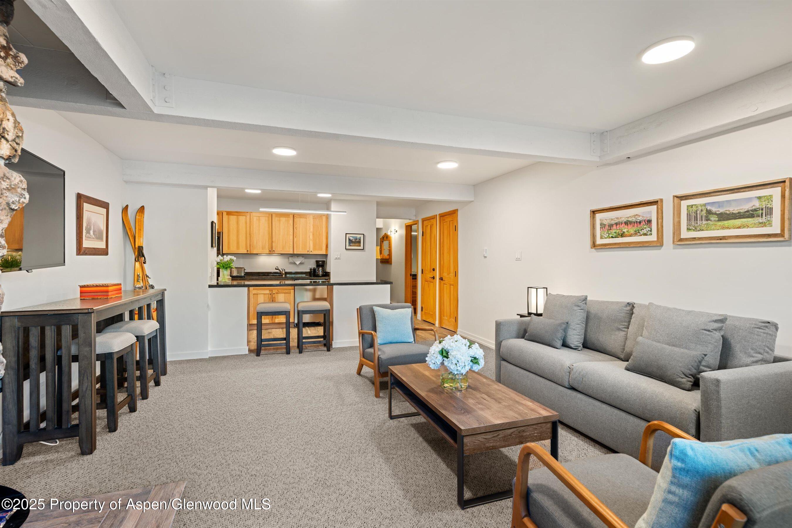 131 E Durant Avenue Aspen CO 81611