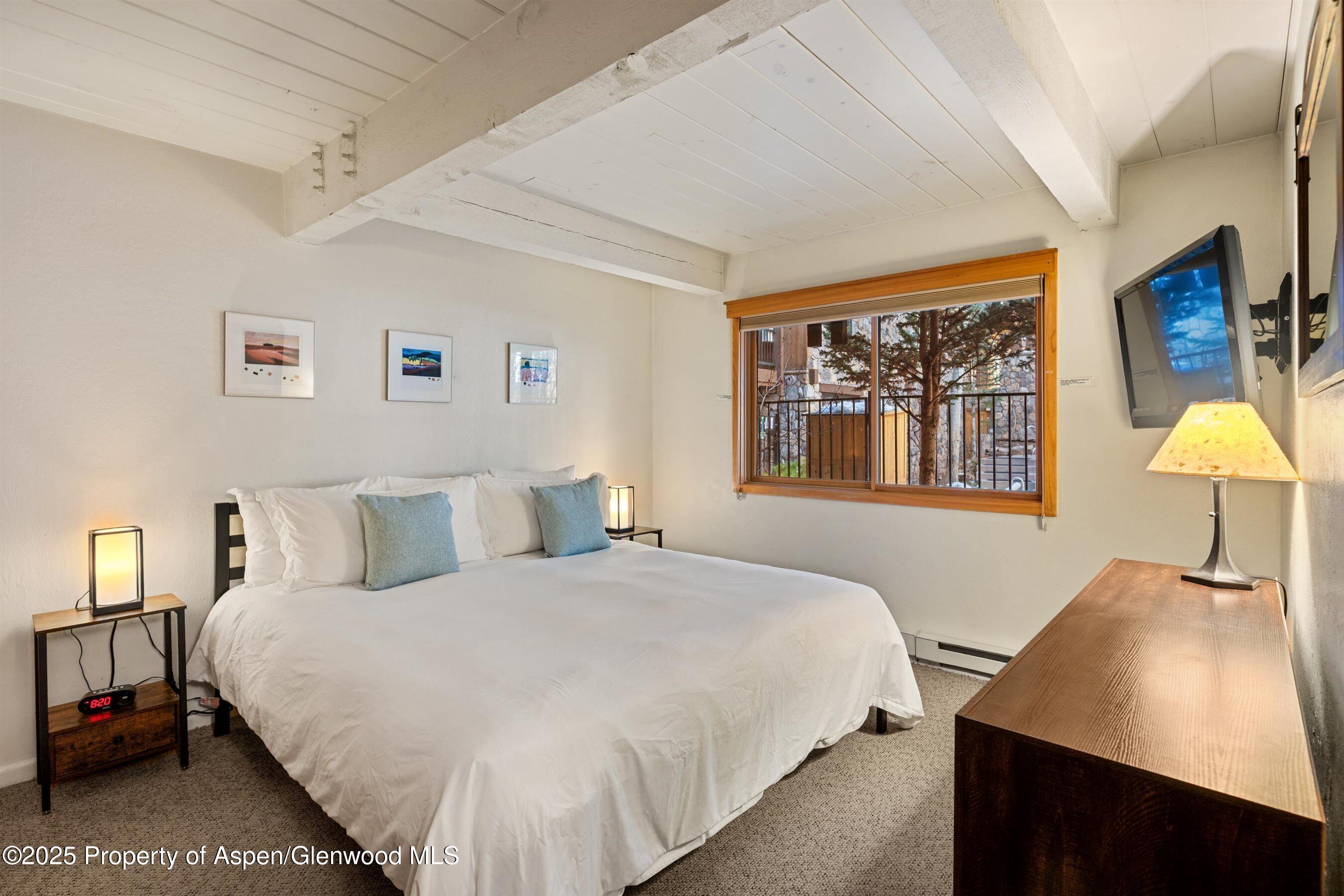 131 E Durant Avenue Aspen CO 81611