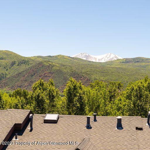 252 Overlook Ridge Carbondale CO 81623