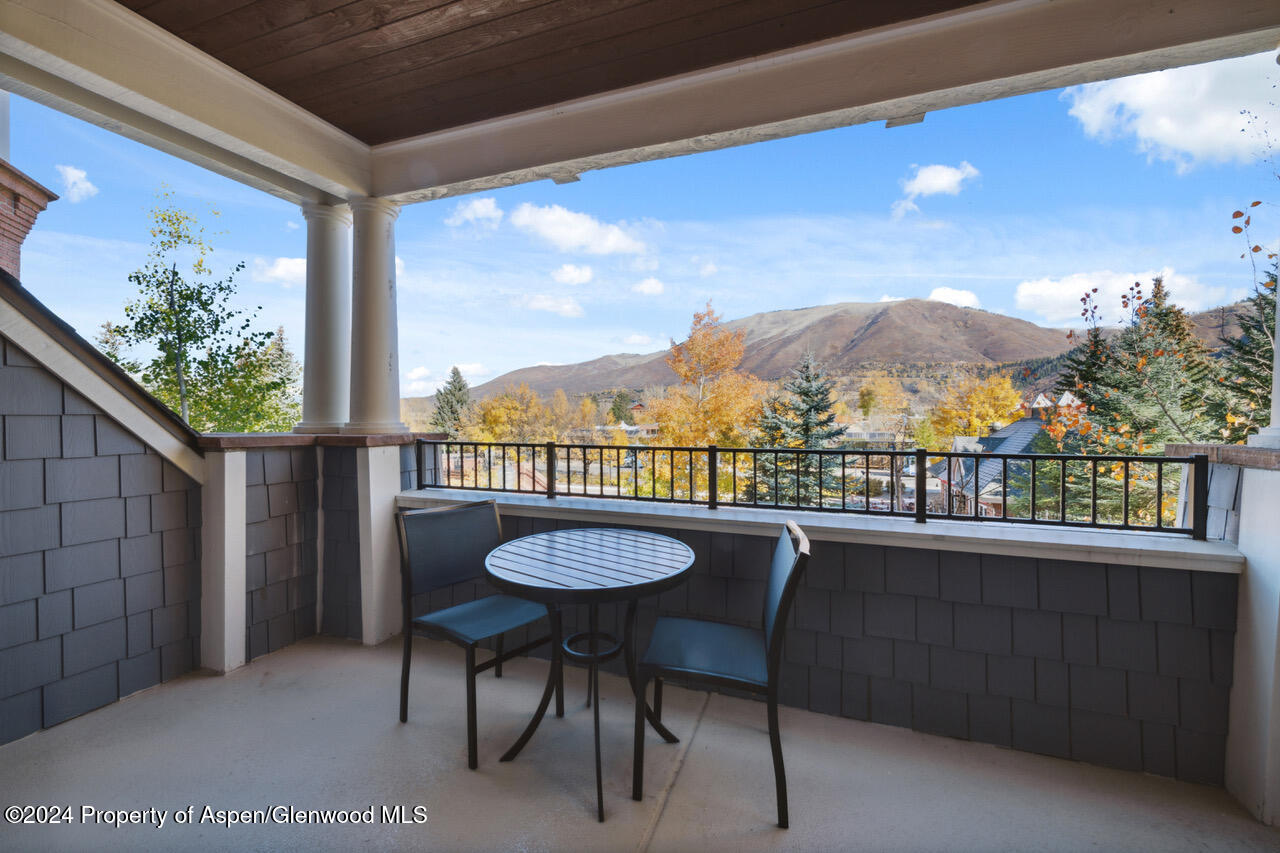 415 E Dean St., Unit 16, Week 9 Aspen CO 81611