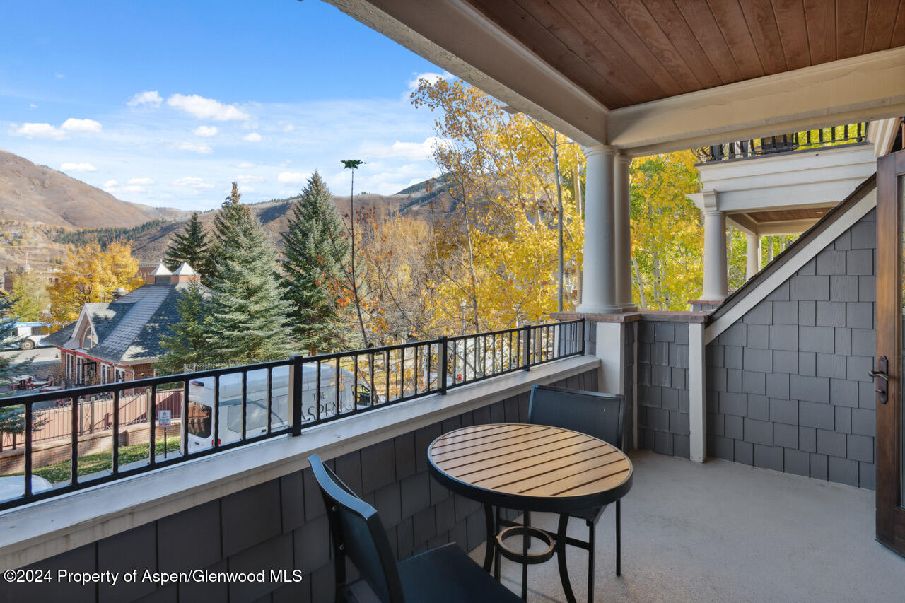 415 E Dean St., Unit 16, Week 9 Aspen CO 81611