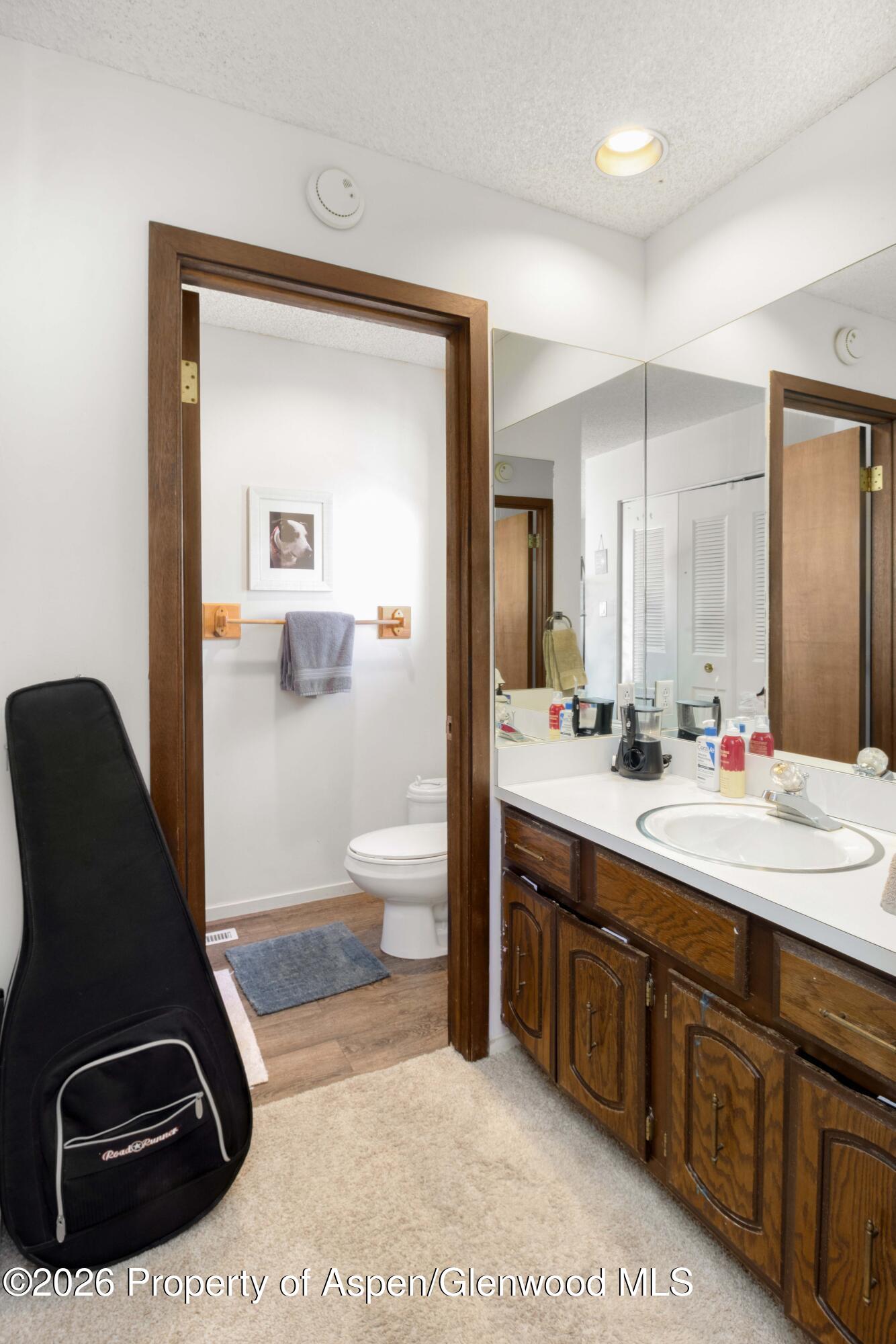 681 S 2nd Street Carbondale CO 81623