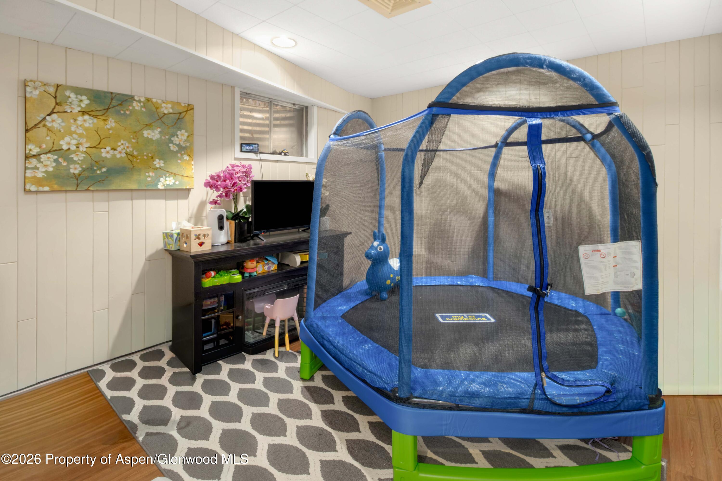 681 S 2nd Street Carbondale CO 81623