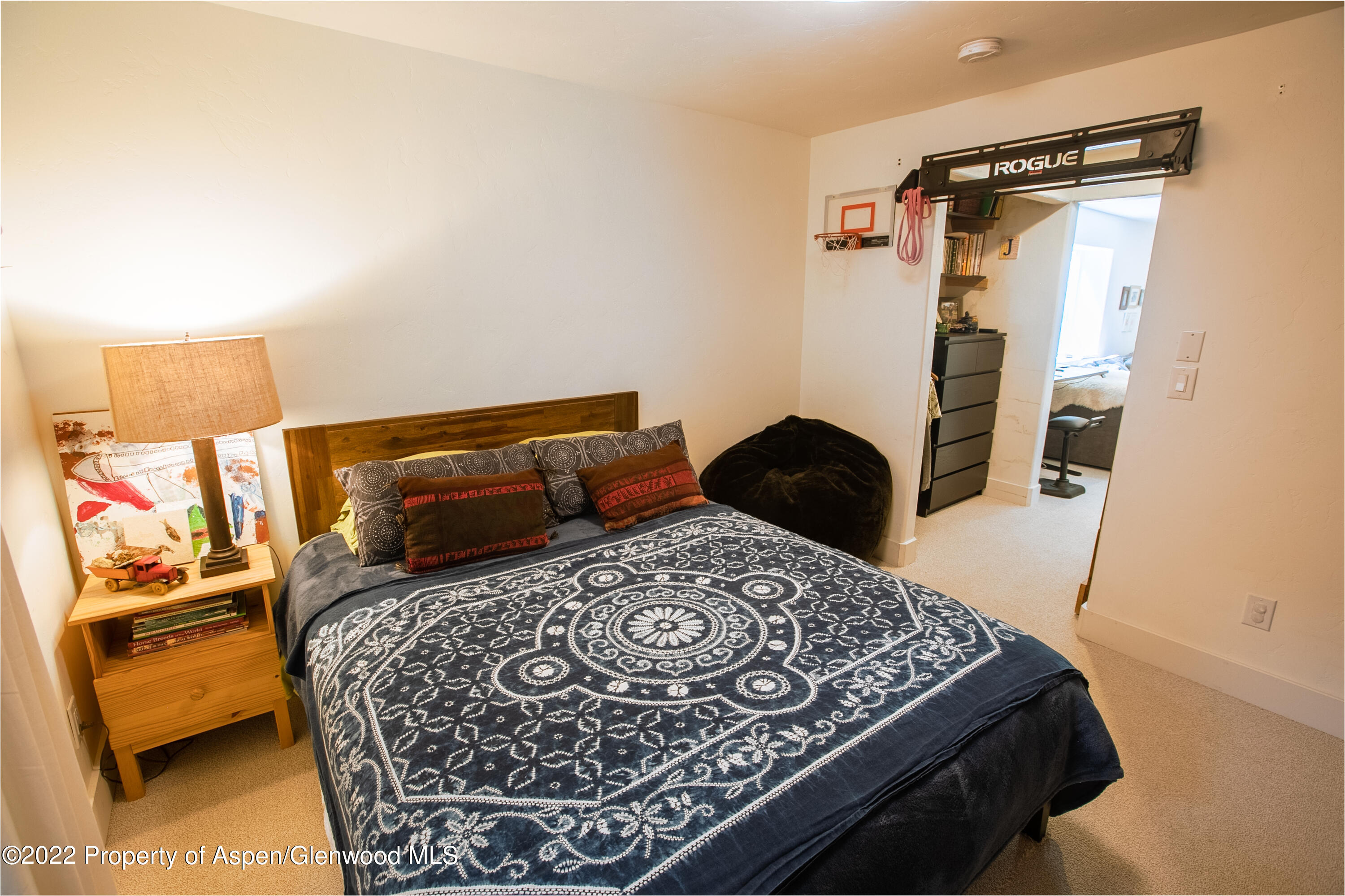 307 W Eighth Place Carbondale CO 81623
