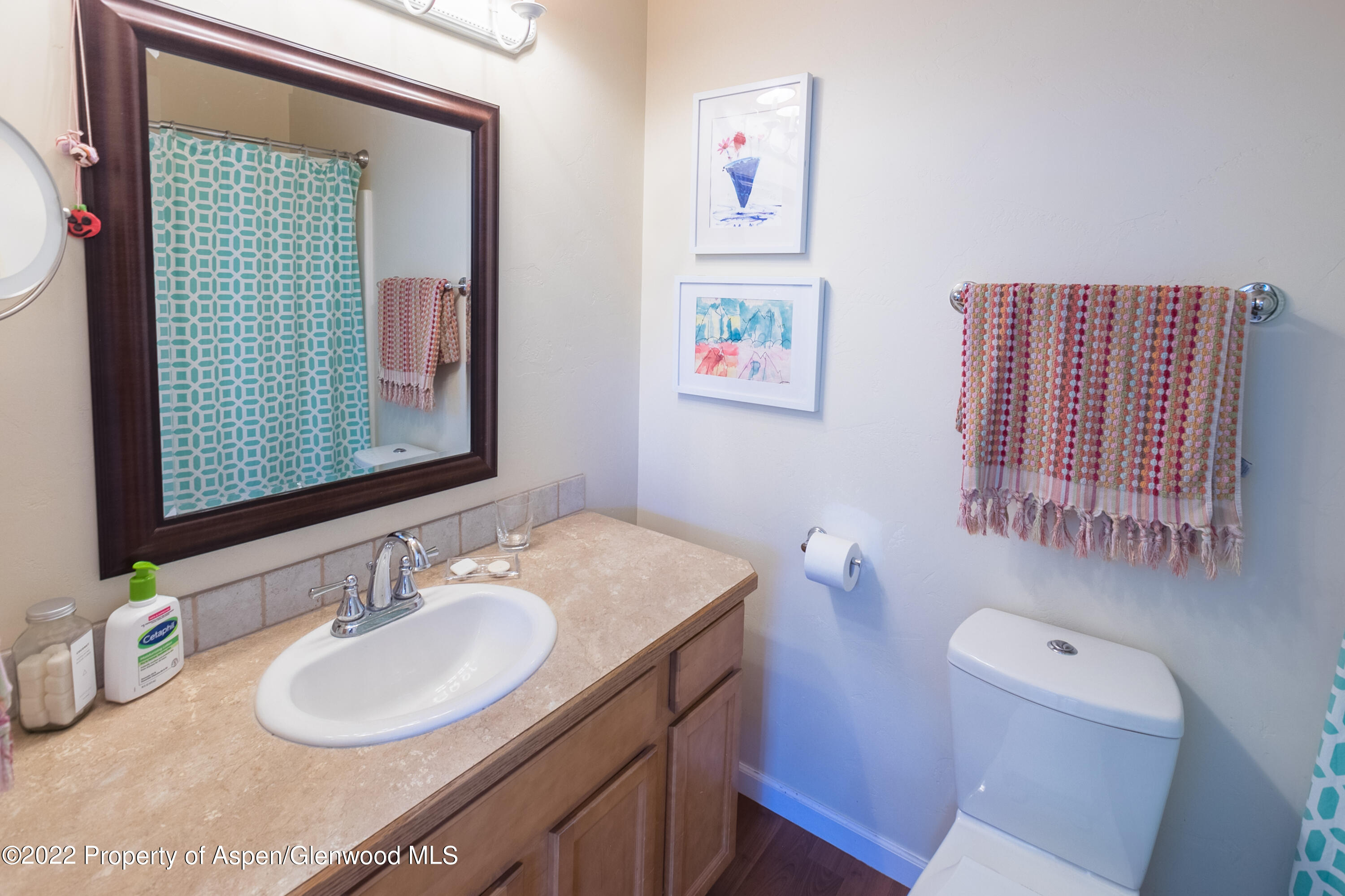 307 W Eighth Place Carbondale CO 81623