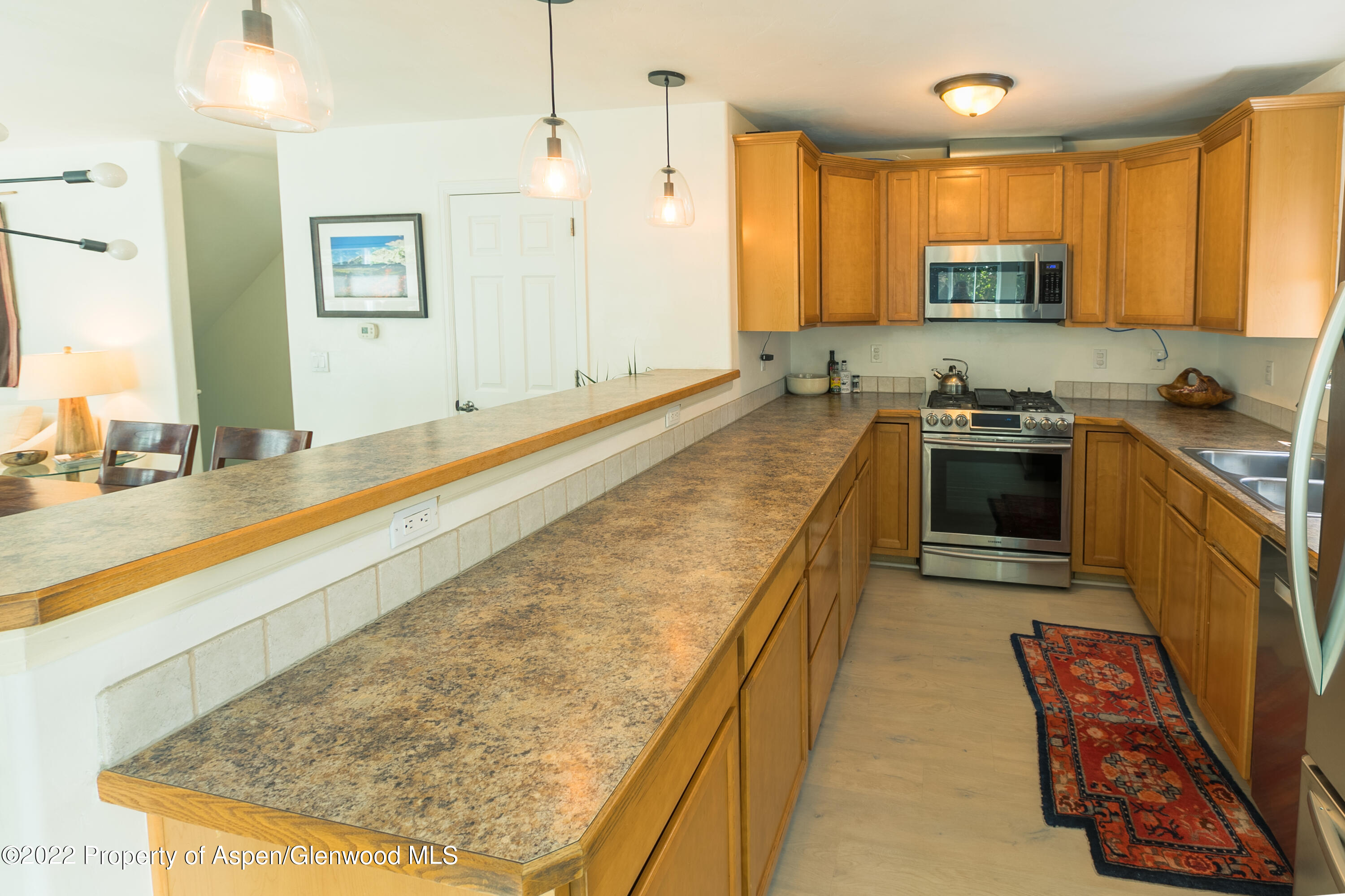 307 W Eighth Place Carbondale CO 81623