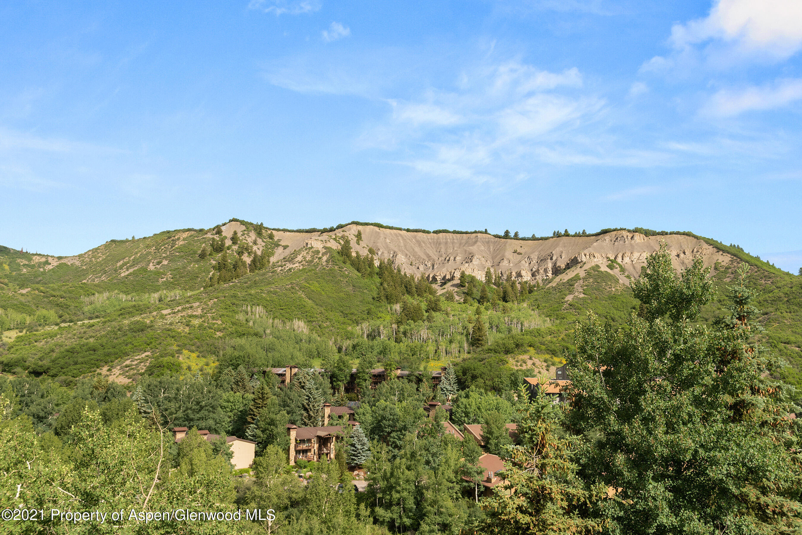 229 Faraway Road Snowmass Village CO 81615