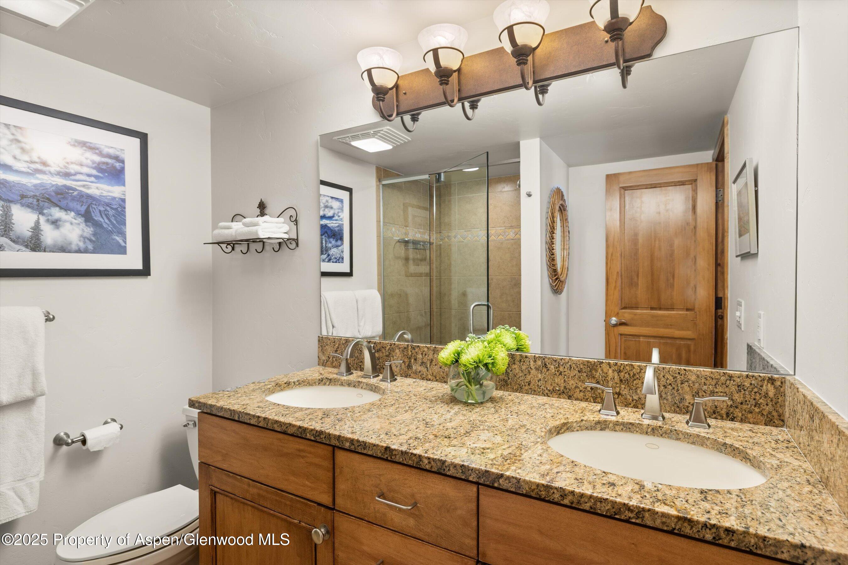 1039 E Cooper Avenue Aspen CO 81611