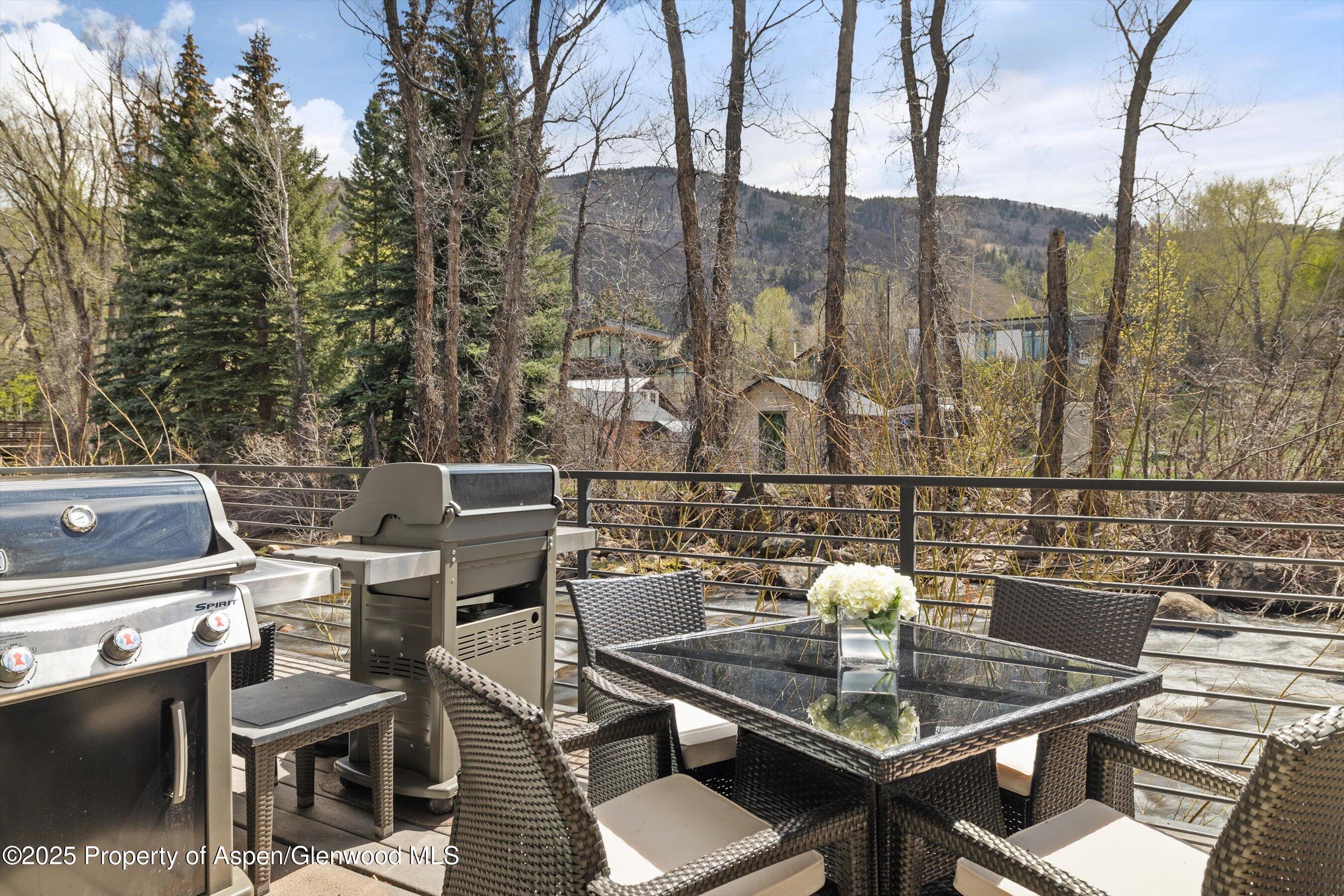 1039 E Cooper Avenue Aspen CO 81611